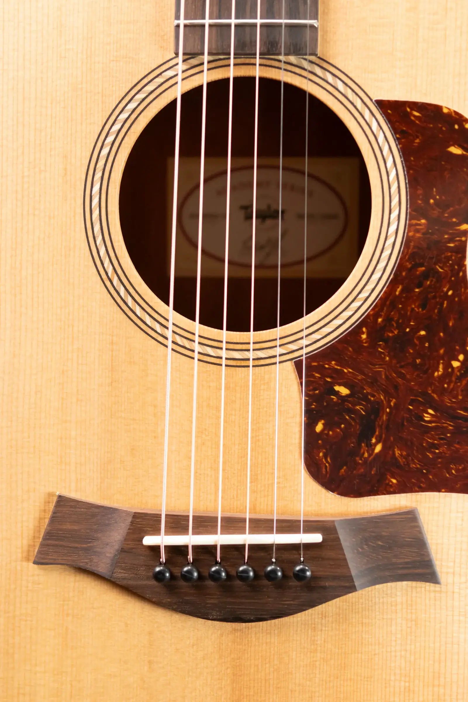 Taylor Academy 12 Grand Concert Acoustic Guitar with Gig Bag