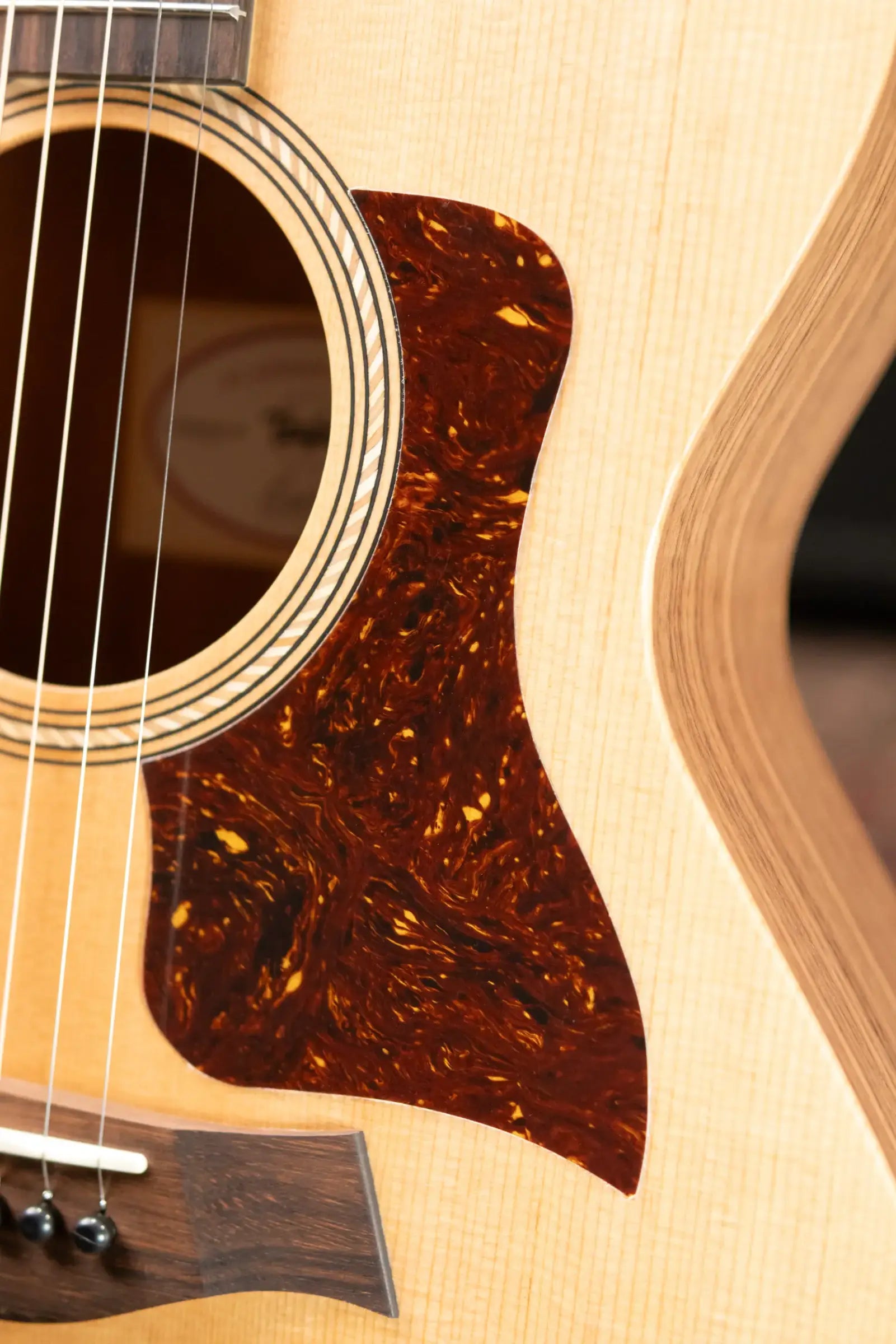 Taylor Academy 12 Grand Concert Acoustic Guitar with Gig Bag