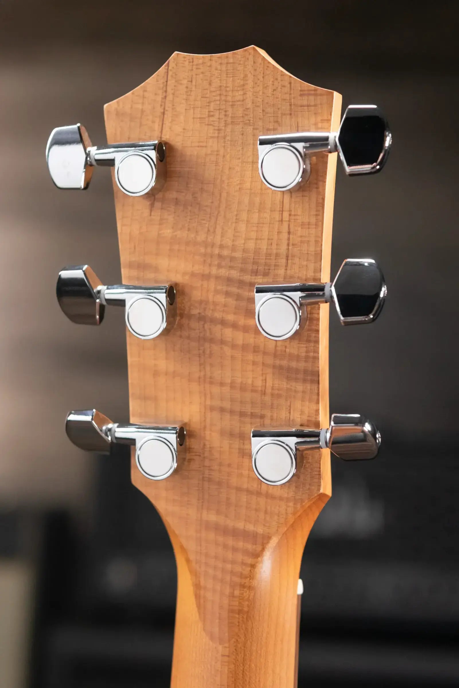 Taylor Academy 12e Grand Concert Acoustic/Electric Guitar with Gig Bag