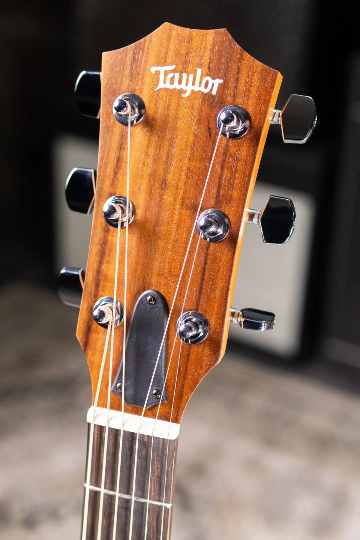 Taylor Academy 12e Grand Concert Acoustic/Electric Guitar with Gig Bag