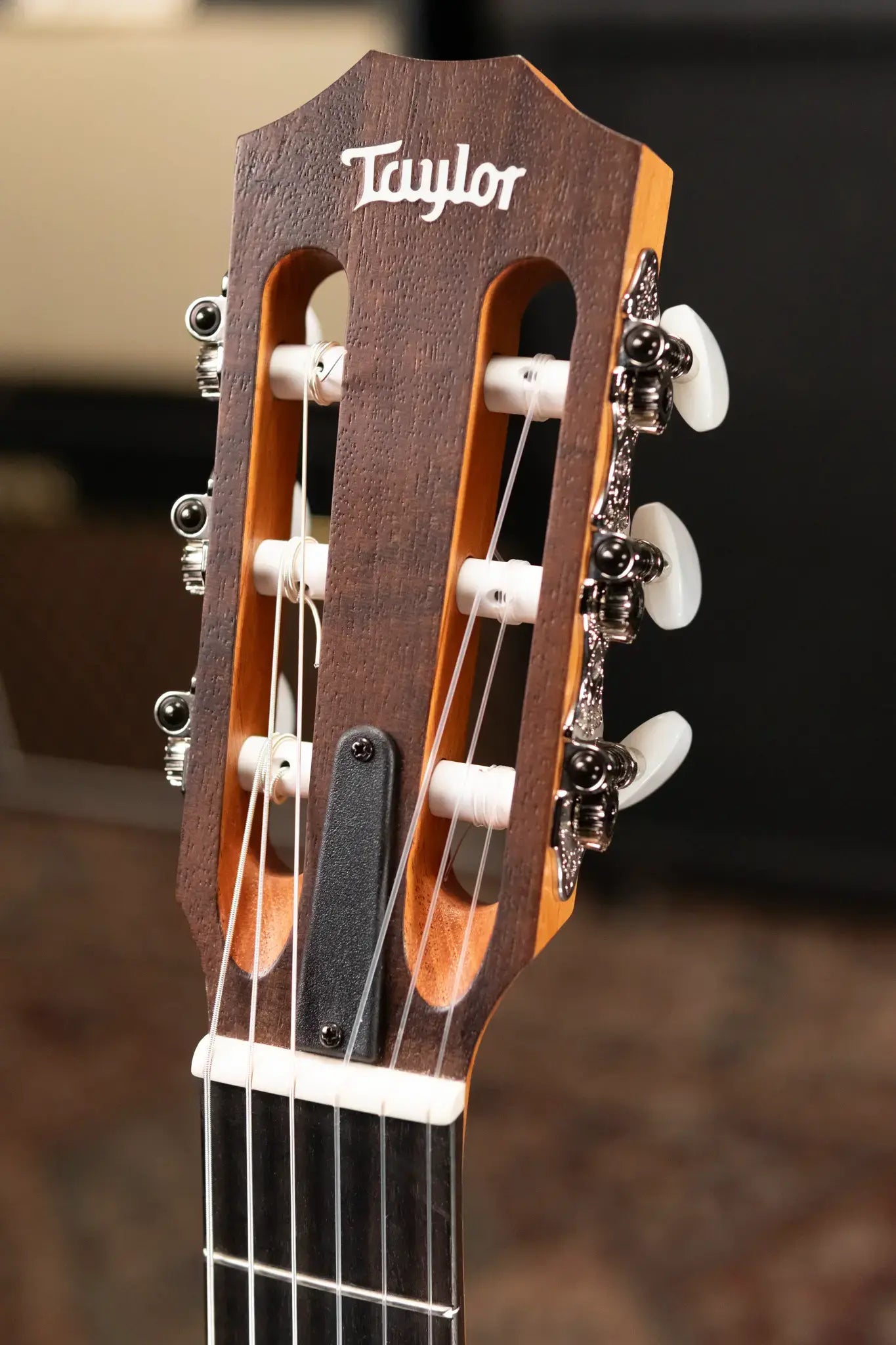 Taylor Academy 12e-N LTD Nylon Grand Concert Acoustic/Electric Guitar - Spruce/Figured Koa with Gig Bag