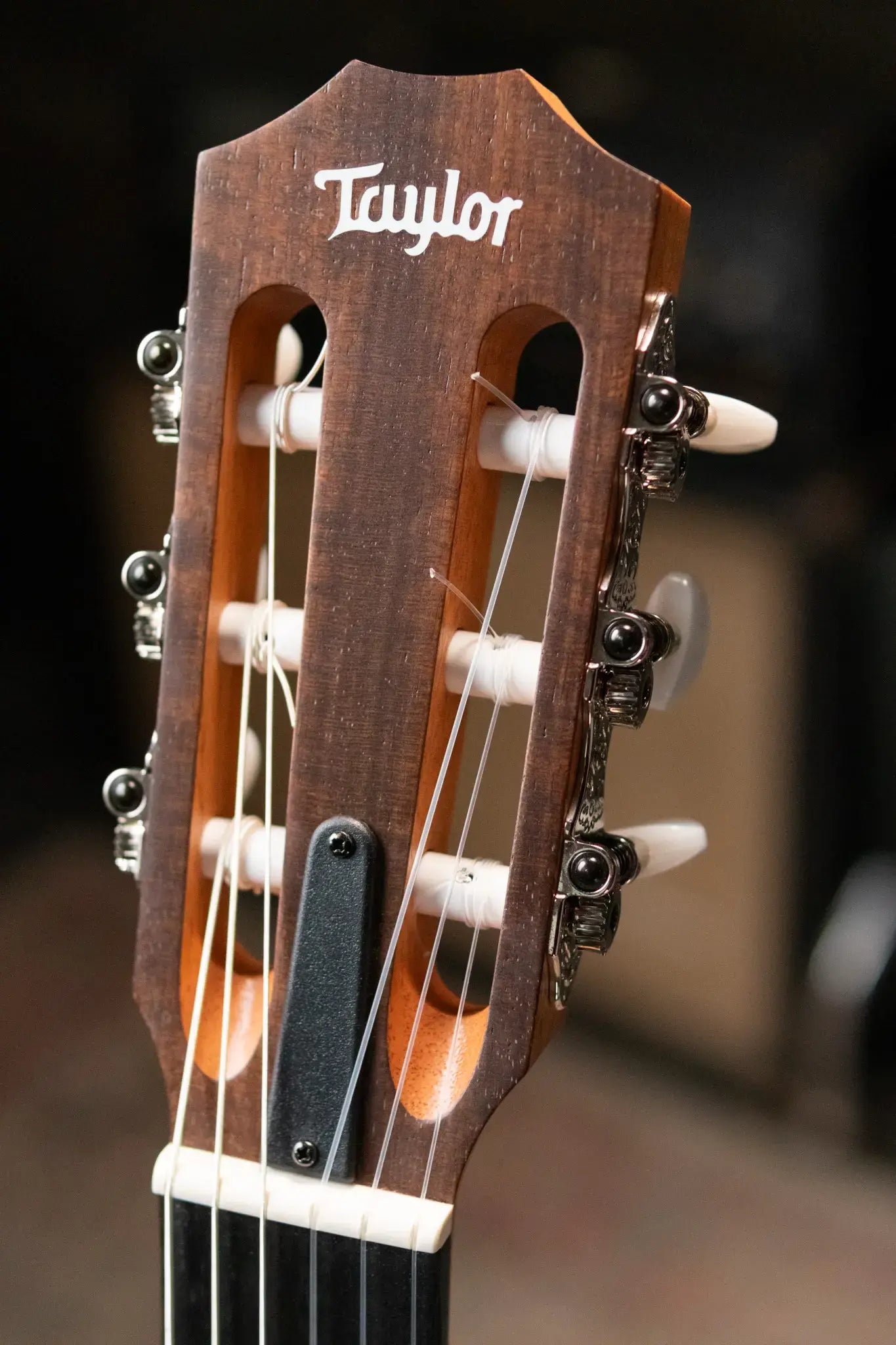 Taylor Academy 12e-N LTD Nylon Grand Concert Acoustic/Electric Guitar - Spruce/Figured Koa with Gig Bag