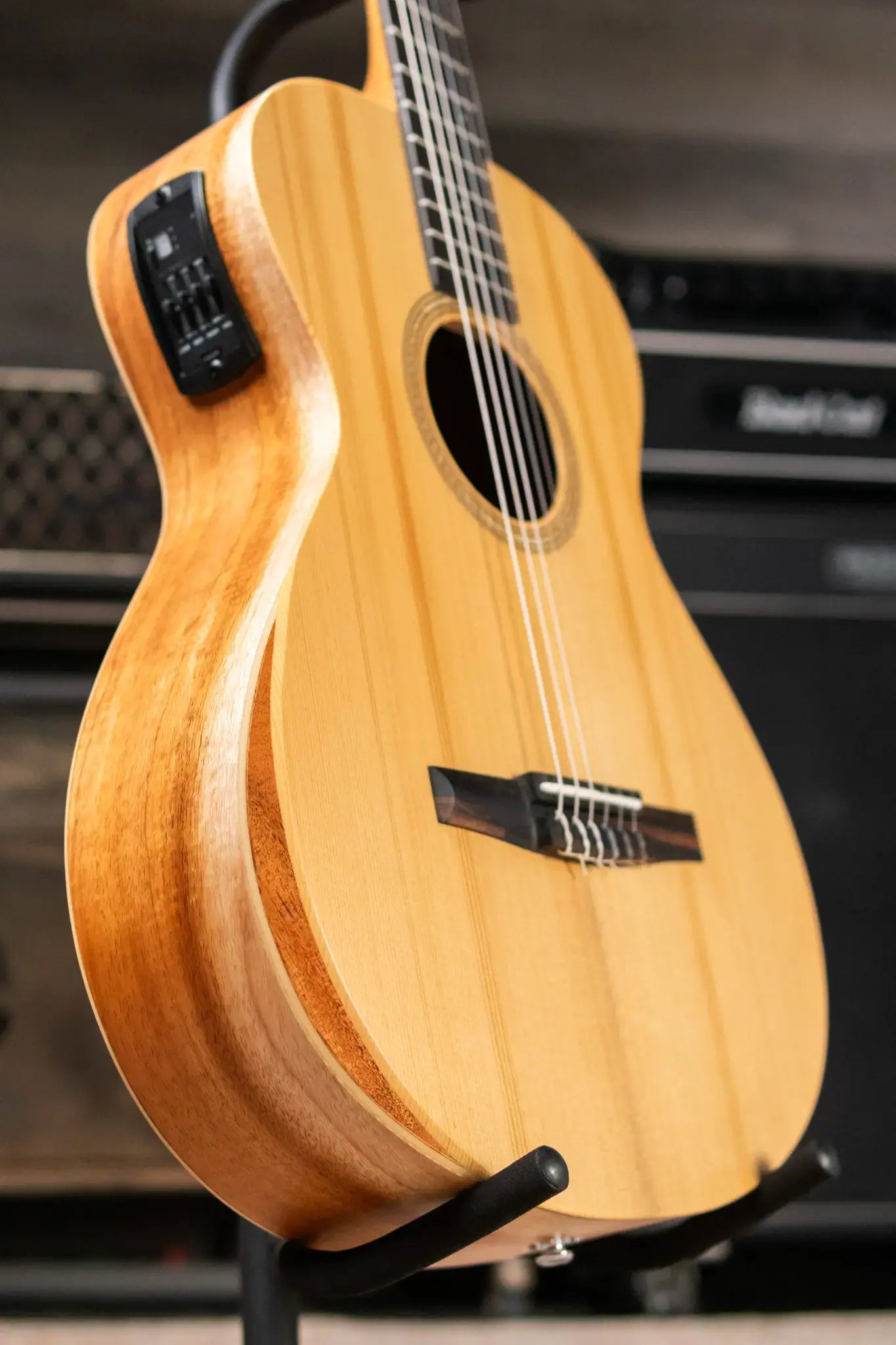 Taylor Academy 12e-N LTD Nylon Grand Concert Acoustic/Electric Guitar - Spruce/Figured Koa with Gig Bag