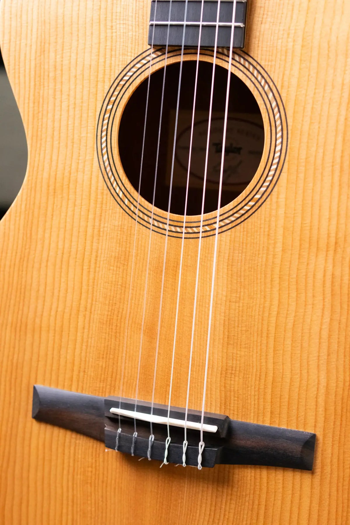 Taylor Academy 12e-N Left-Handed Nylon Grand Concert Acoustic/Electric Guitar with Gig Bag