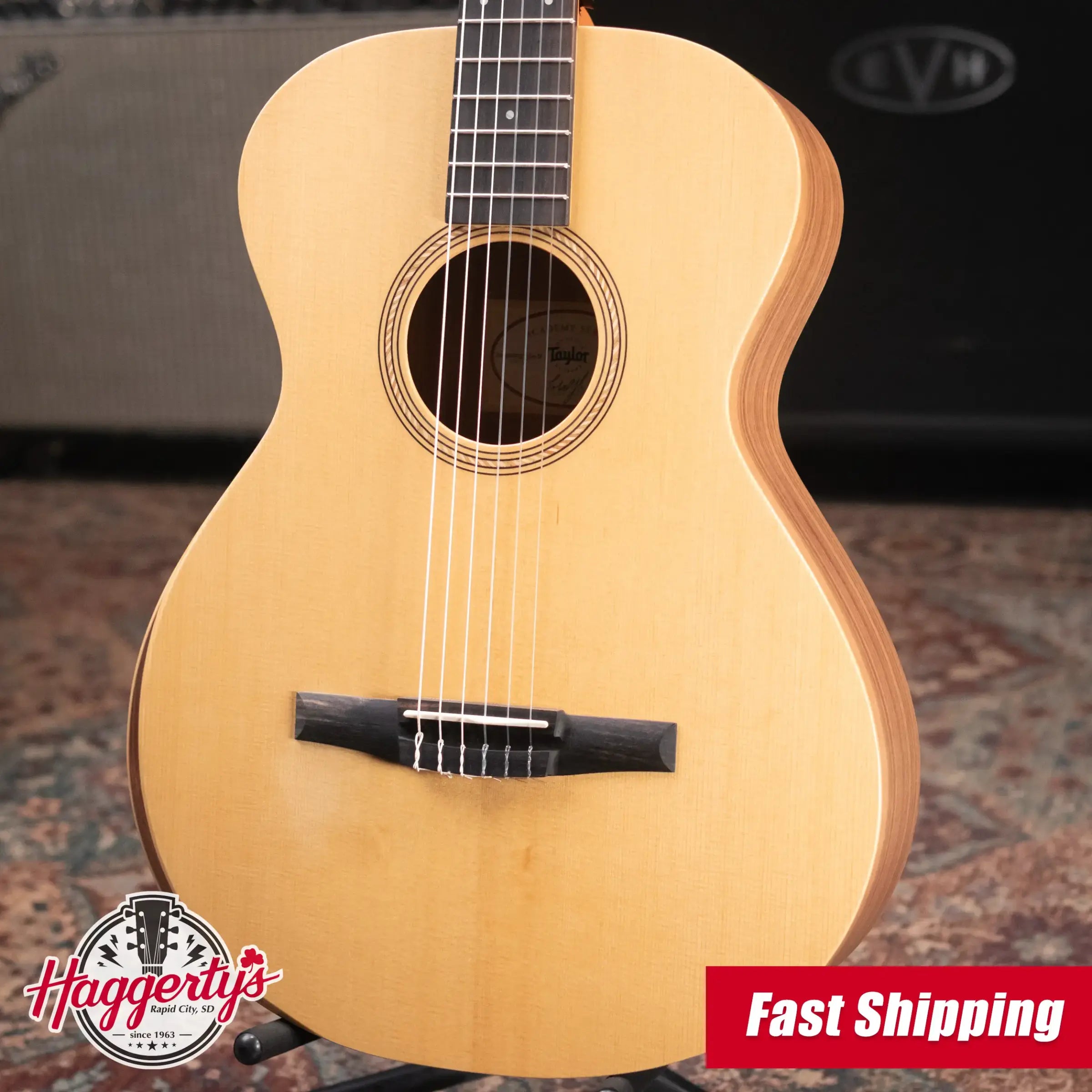 Taylor Academy 12e-N Nylon Grand Concert Acoustic/Electric Guitar with Gig Bag - Factory Demo