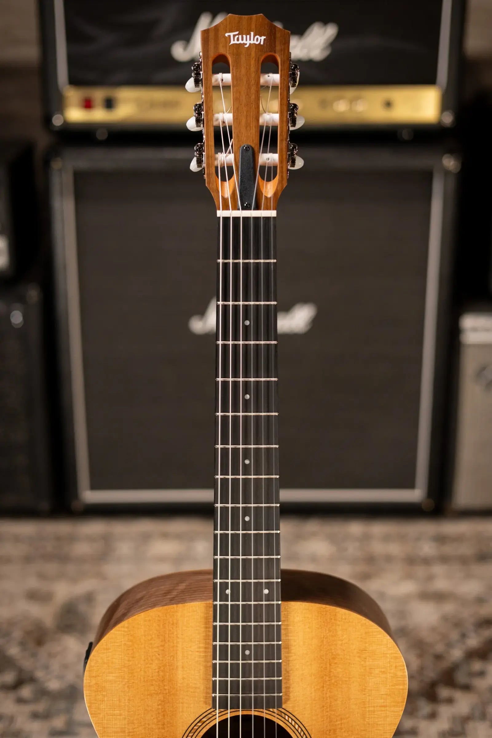 Taylor Academy 12e-N Nylon Grand Concert Acoustic/Electric Guitar with Gig Bag
