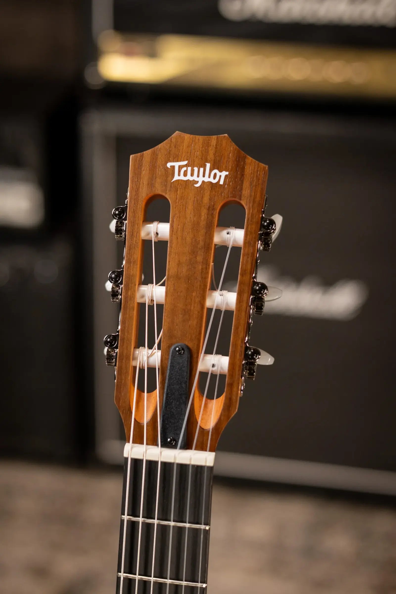 Taylor Academy 12e-N Nylon Grand Concert Acoustic/Electric Guitar with Gig Bag