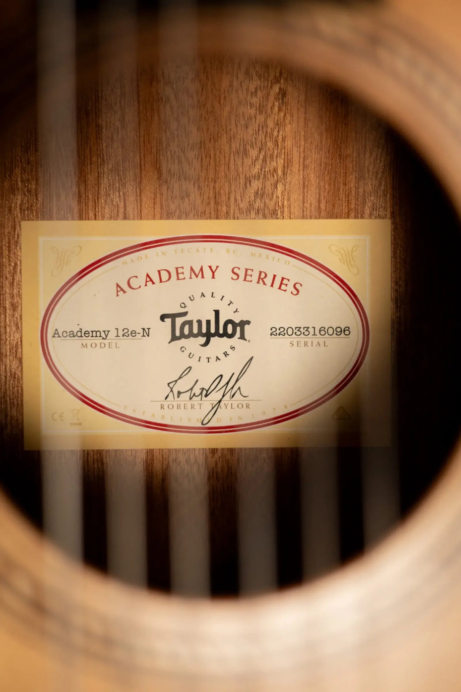 Taylor Academy 12e-N Nylon Grand Concert Acoustic/Electric Guitar with Gig Bag
