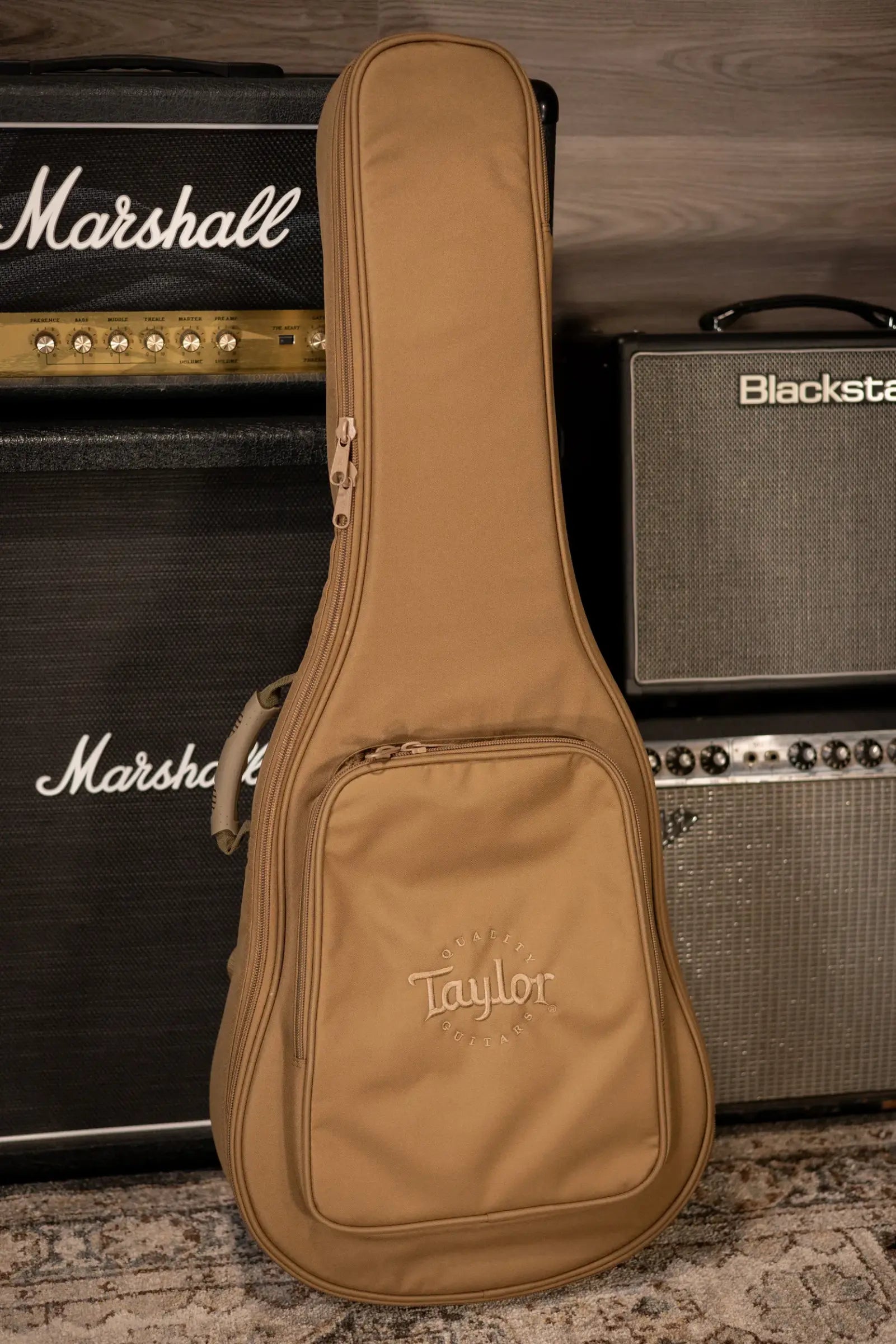 Taylor Academy 12e-N Nylon Grand Concert Acoustic/Electric Guitar with Gig Bag