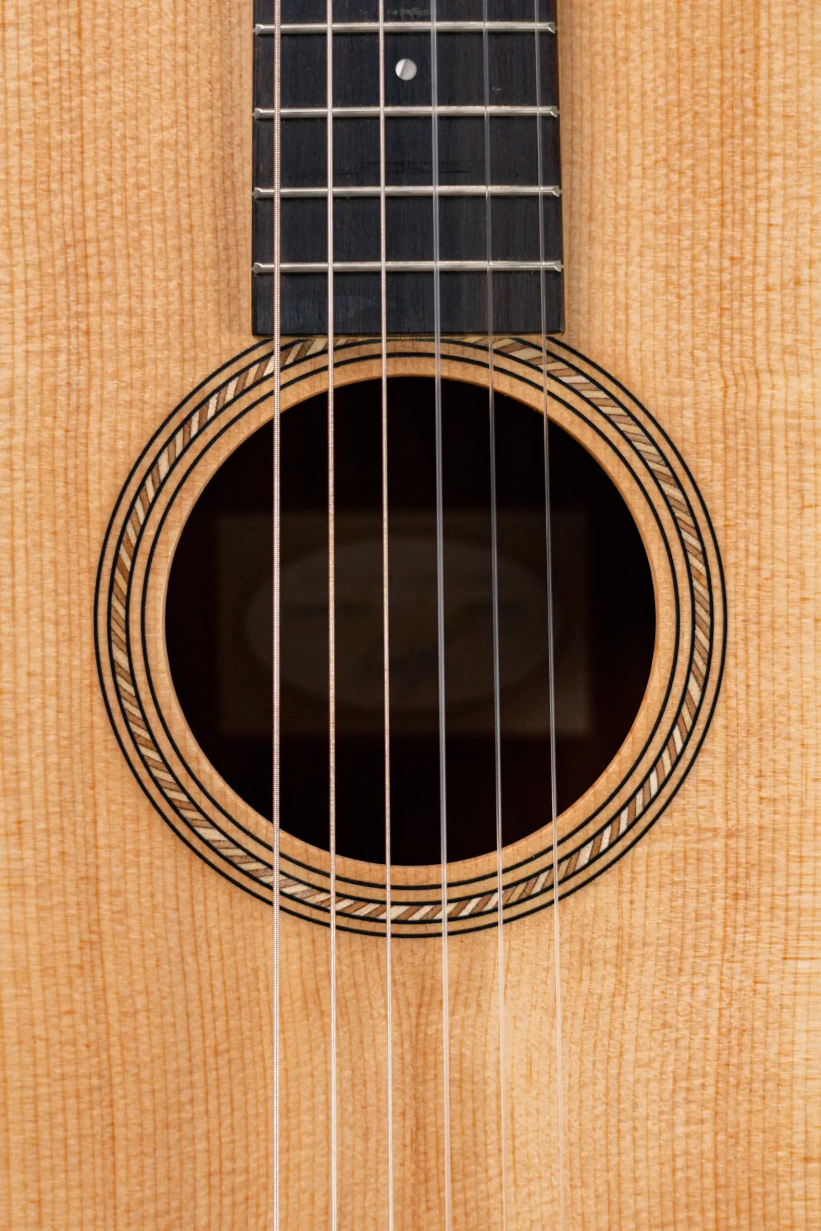 Taylor Academy 12e-N Nylon Grand Concert Acoustic/Electric Guitar with Gig Bag