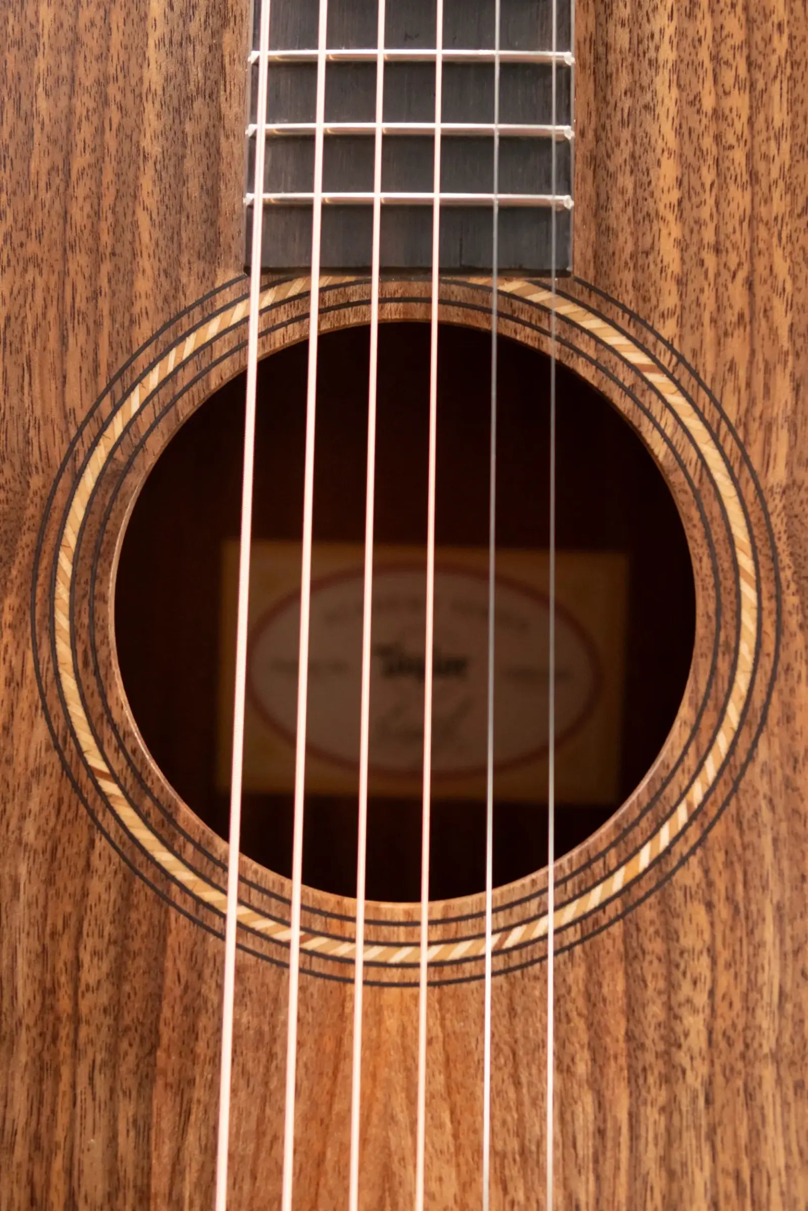 Taylor Academy 20e Acoustic Guitar with Gig Bag - Used