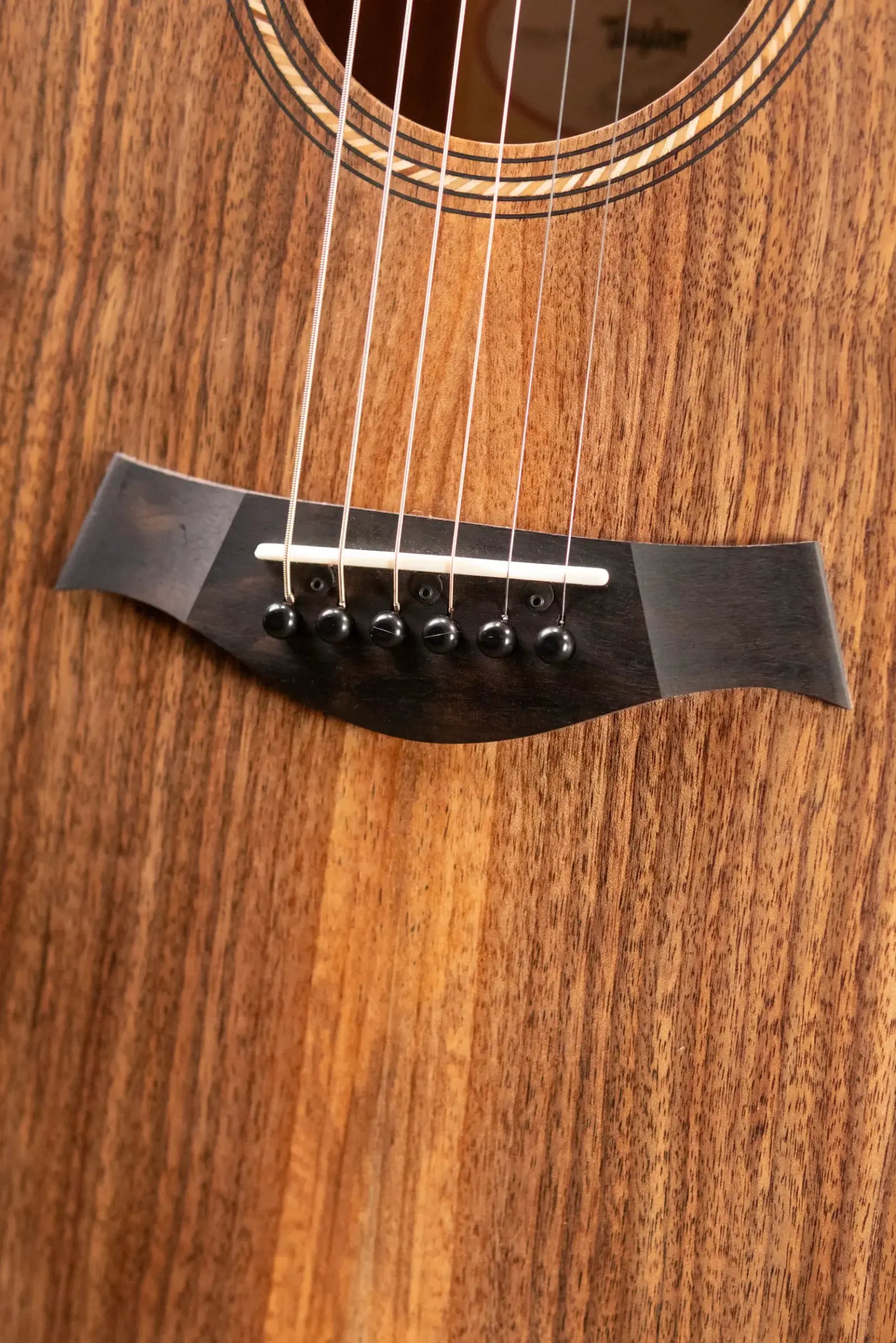 Taylor Academy 20e Acoustic Guitar with Gig Bag - Used