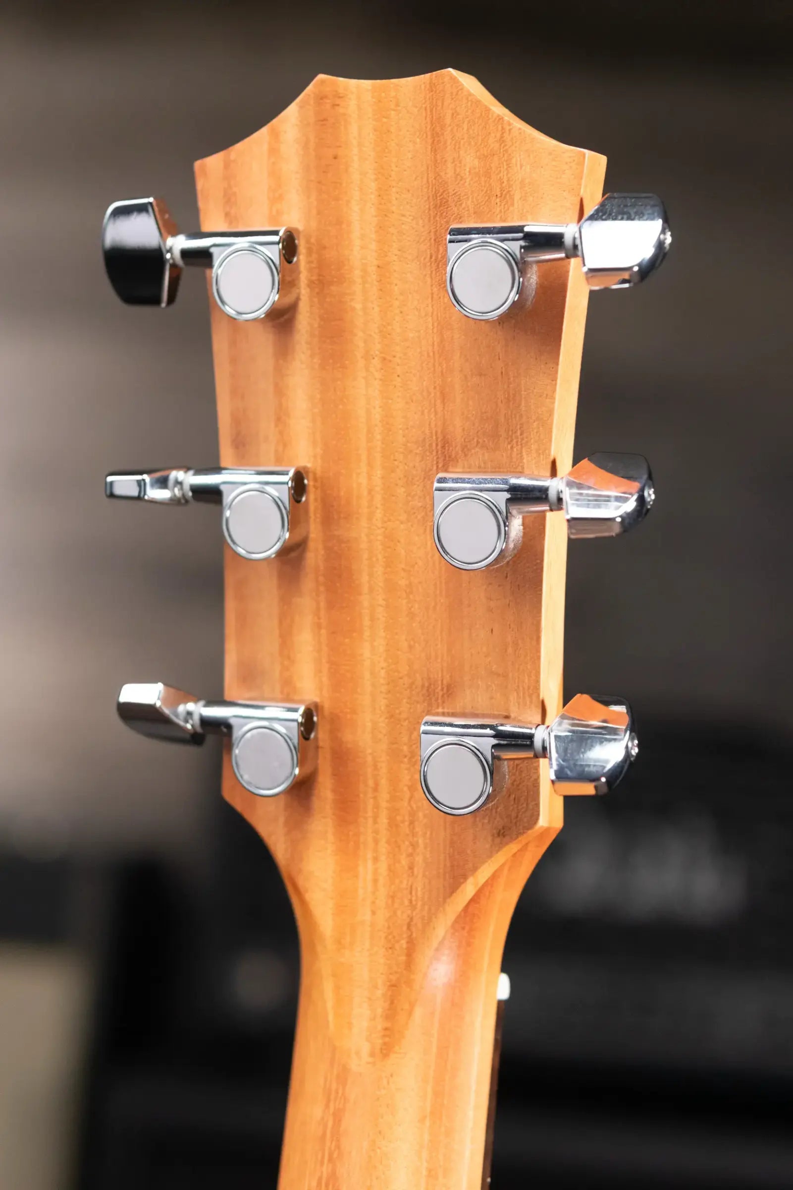 Taylor Academy 22e Grand Concert Acoustic/Electric Guitar with Gig Bag