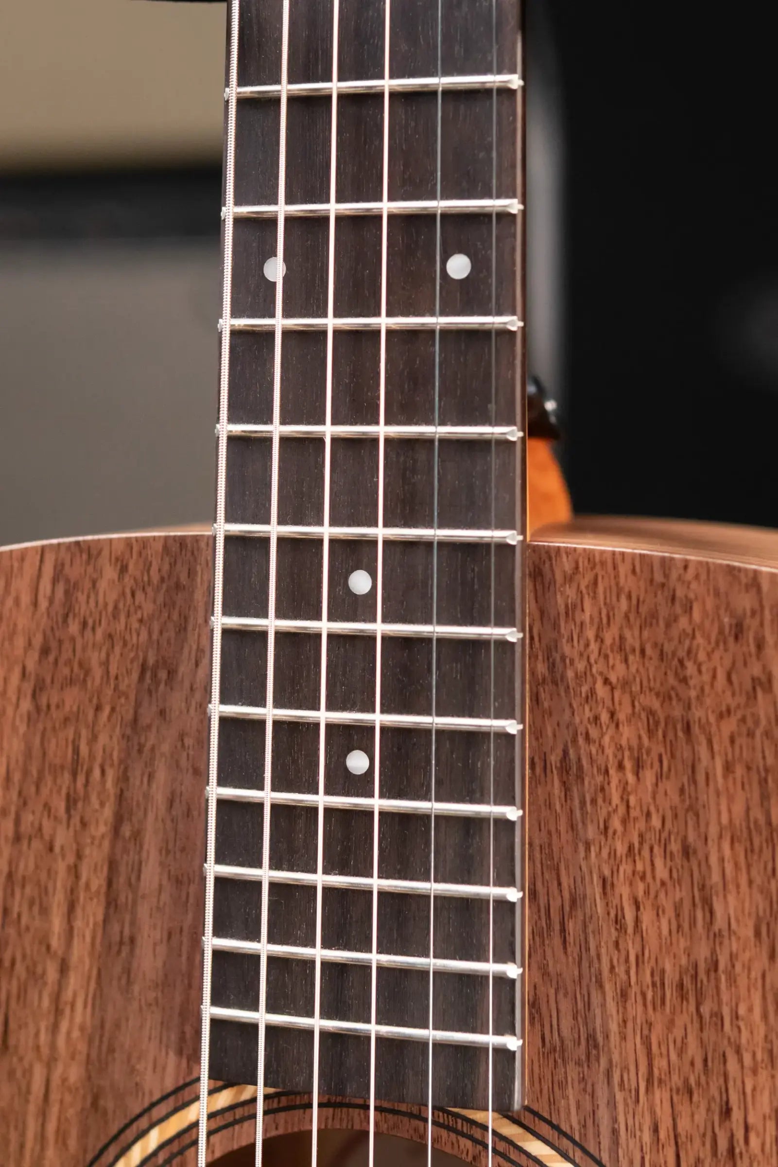 Taylor Academy 22e Grand Concert Acoustic/Electric Guitar with Gig Bag