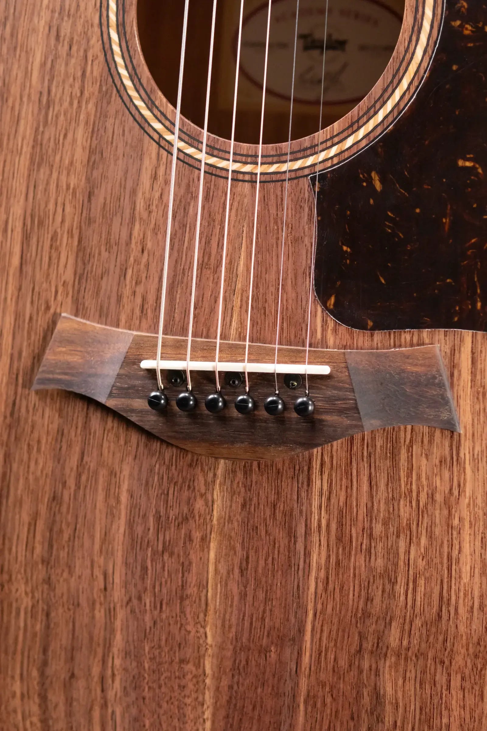 Taylor Academy 22e Grand Concert Acoustic/Electric Guitar with Gig Bag