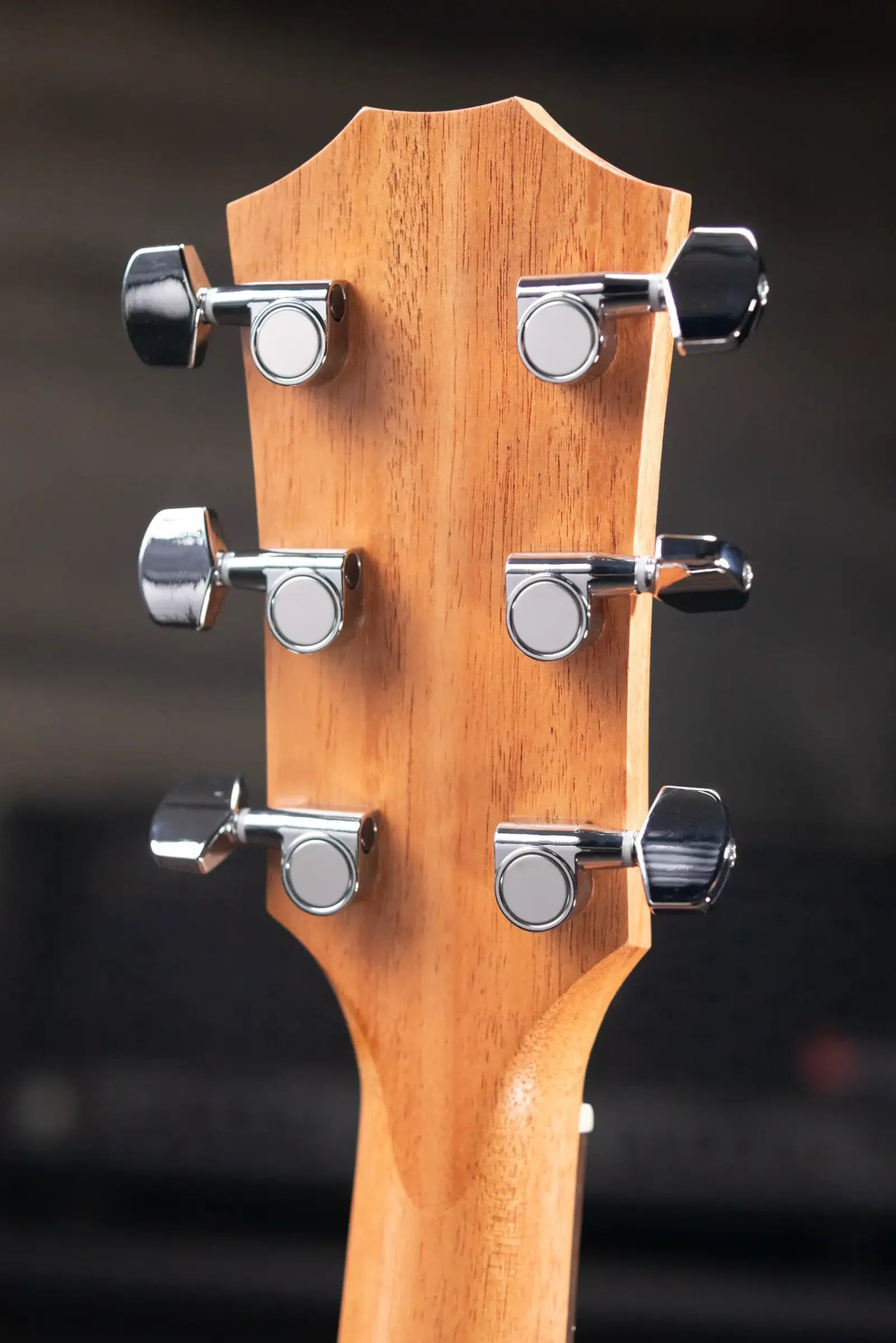 Taylor Academy 22e Grand Concert Acoustic/Electric Guitar with Gig Bag