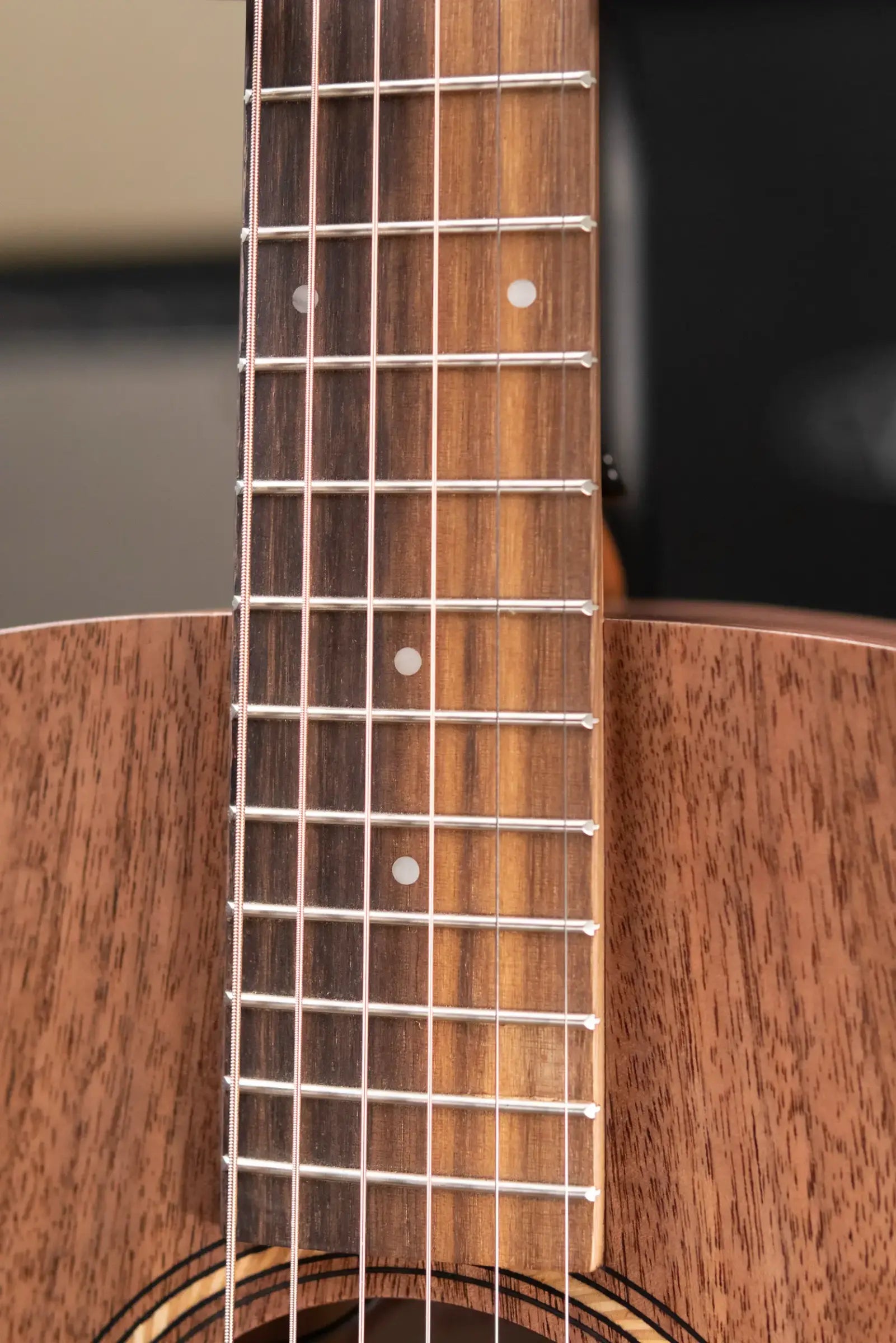 Taylor Academy 22e Grand Concert Acoustic/Electric Guitar with Gig Bag