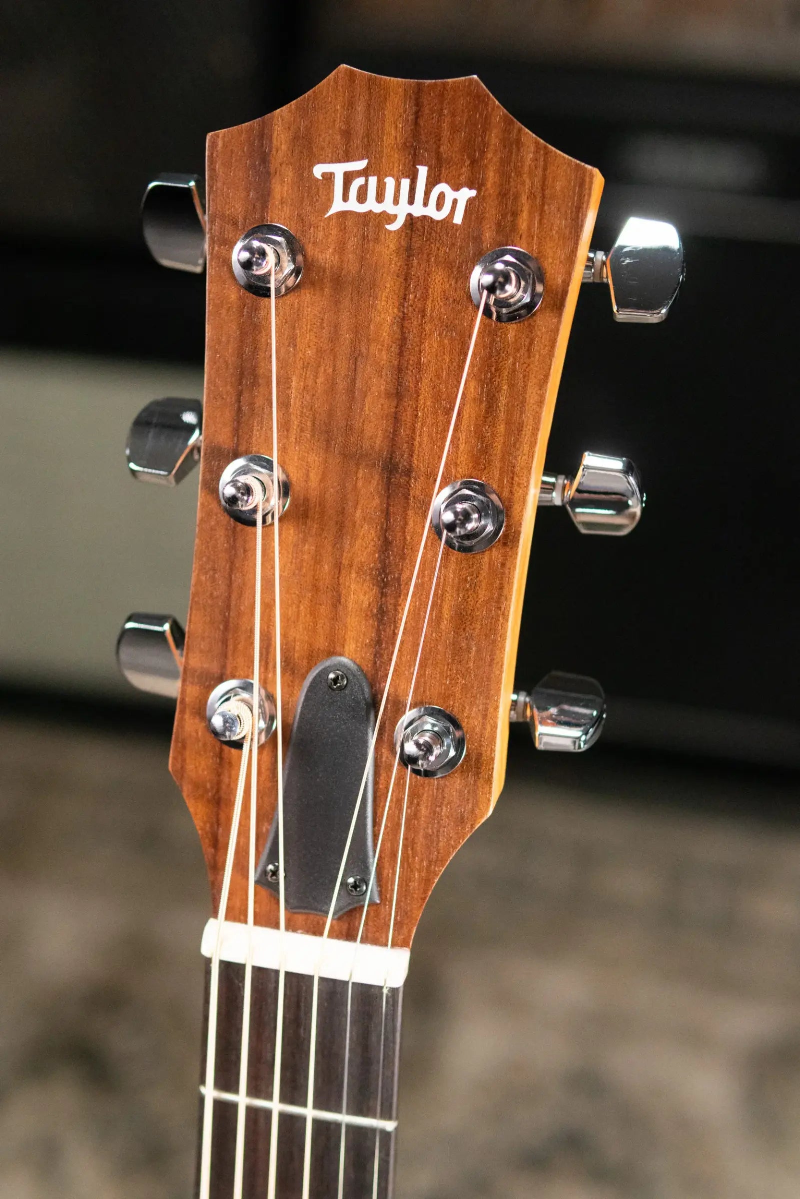 Taylor Academy 22e Grand Concert Acoustic/Electric Guitar with Gig Bag