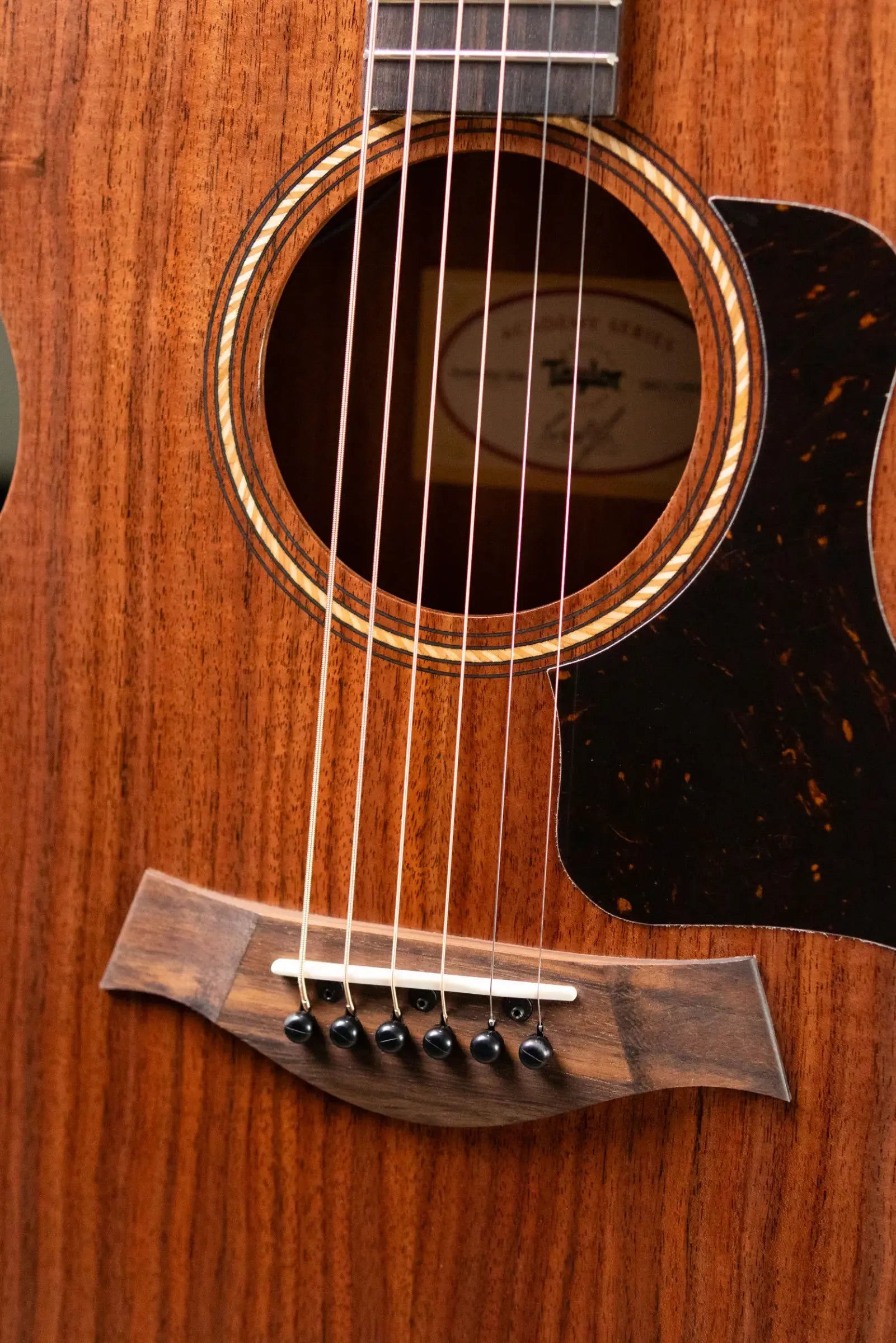 Taylor Academy 22e Grand Concert Acoustic/Electric Guitar with Gig Bag