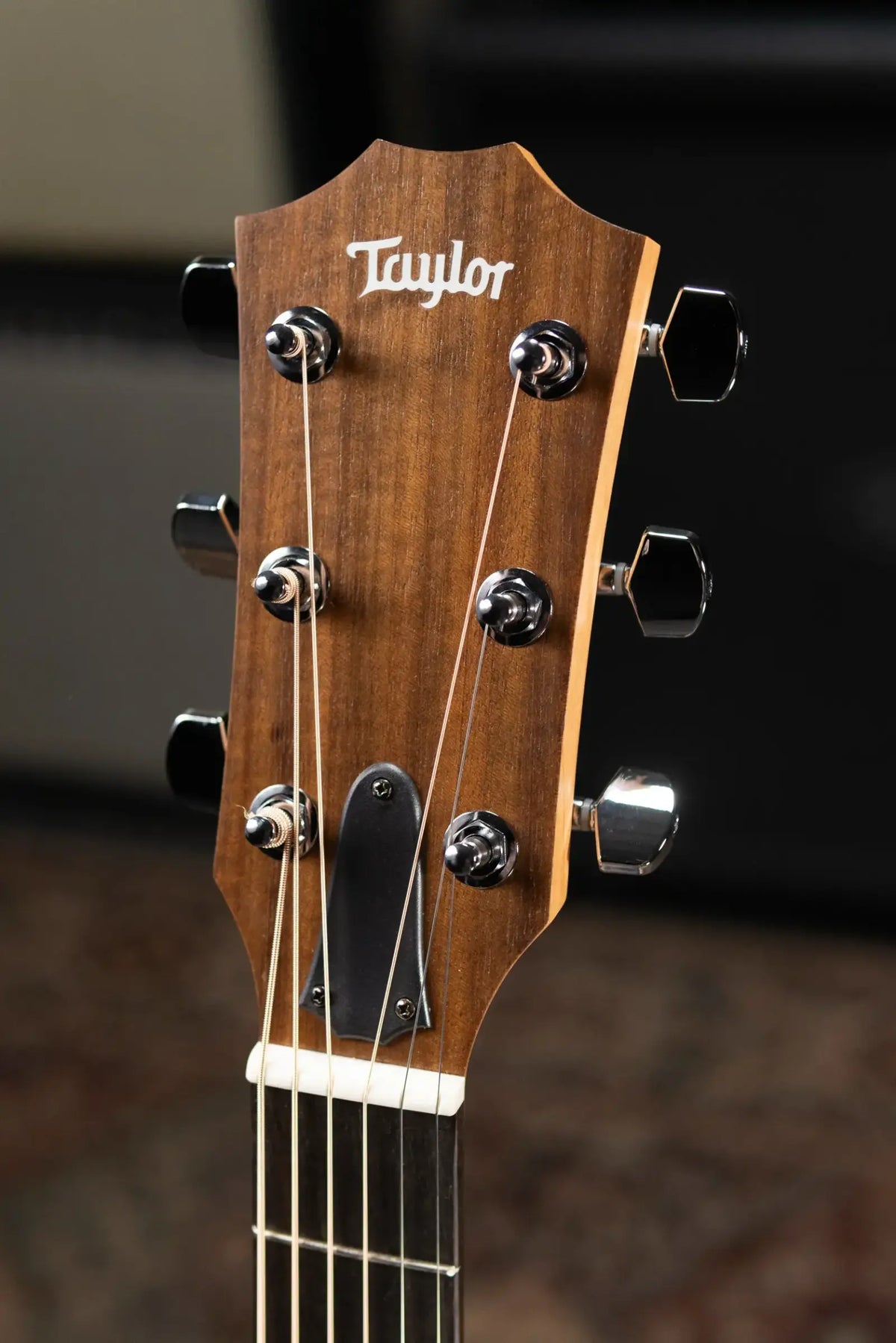 Taylor Academy 22e Grand Concert Acoustic/Electric Guitar with Gig Bag