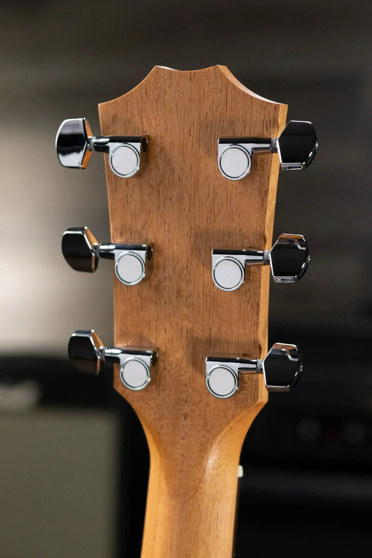 Taylor Academy 22e Grand Concert Acoustic/Electric Guitar with Gig Bag