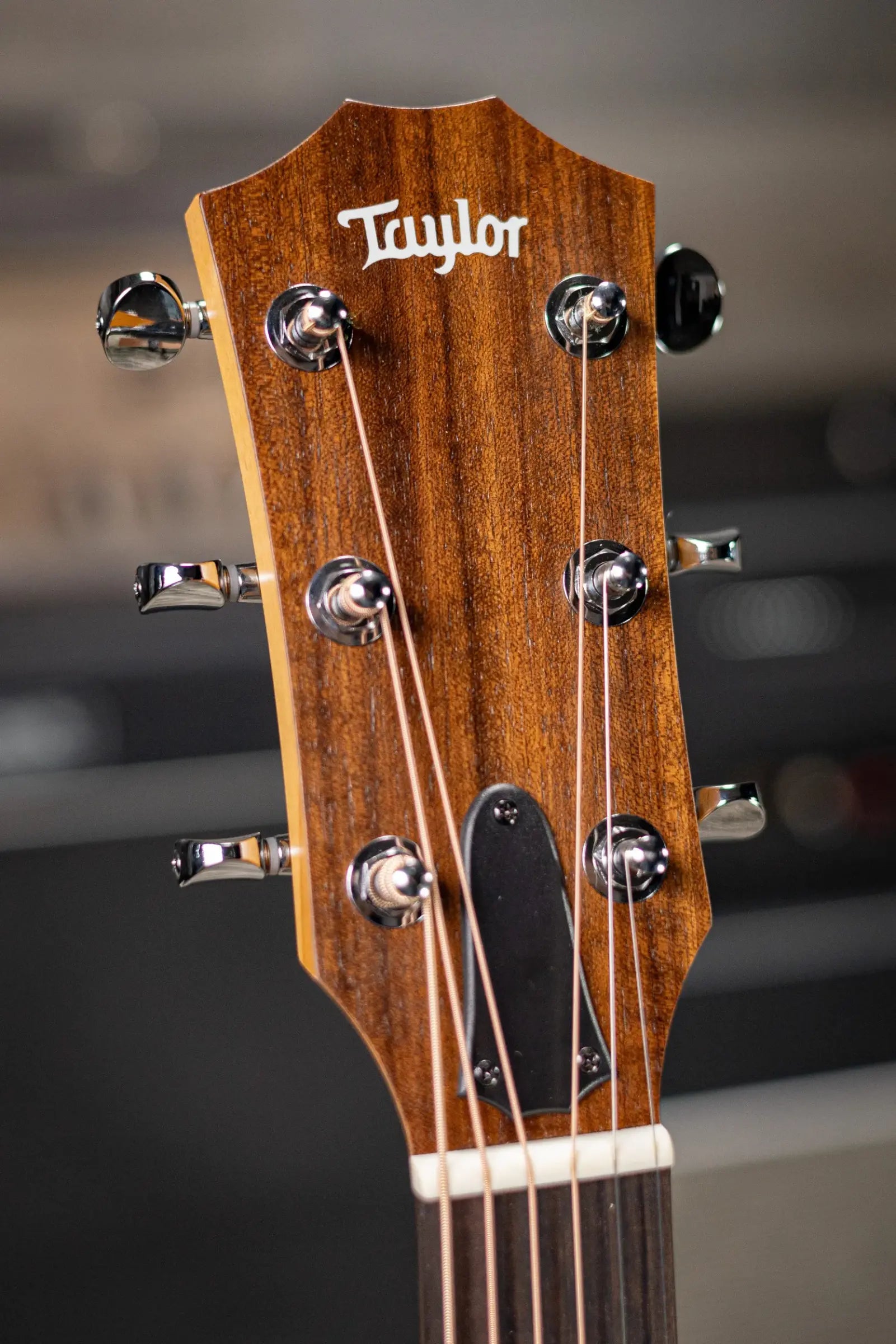 Taylor BBTe Big Baby Taylor Acoustic/Electric Guitar with Gig Bag