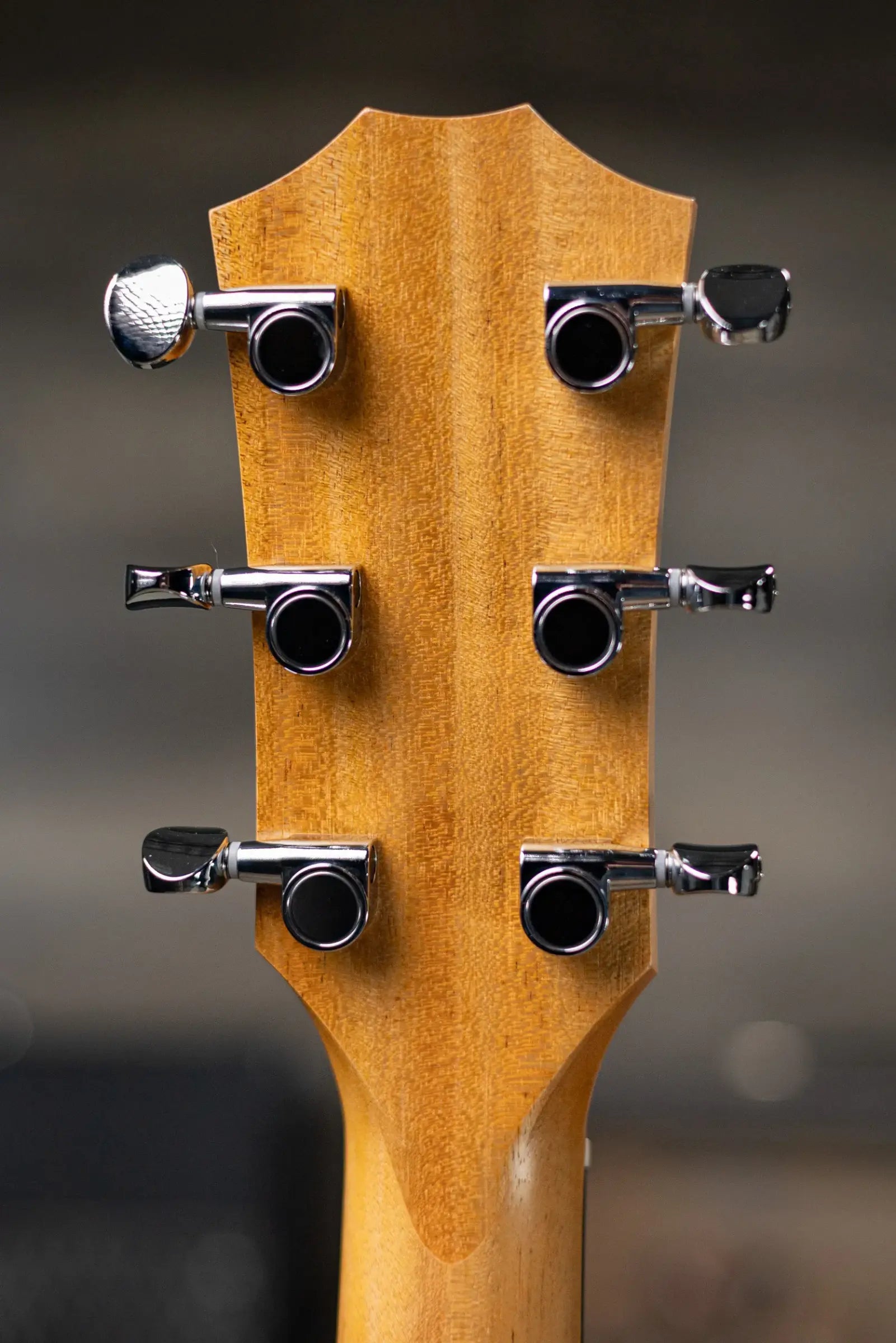 Taylor BBTe Big Baby Taylor Acoustic/Electric Guitar with Gig Bag