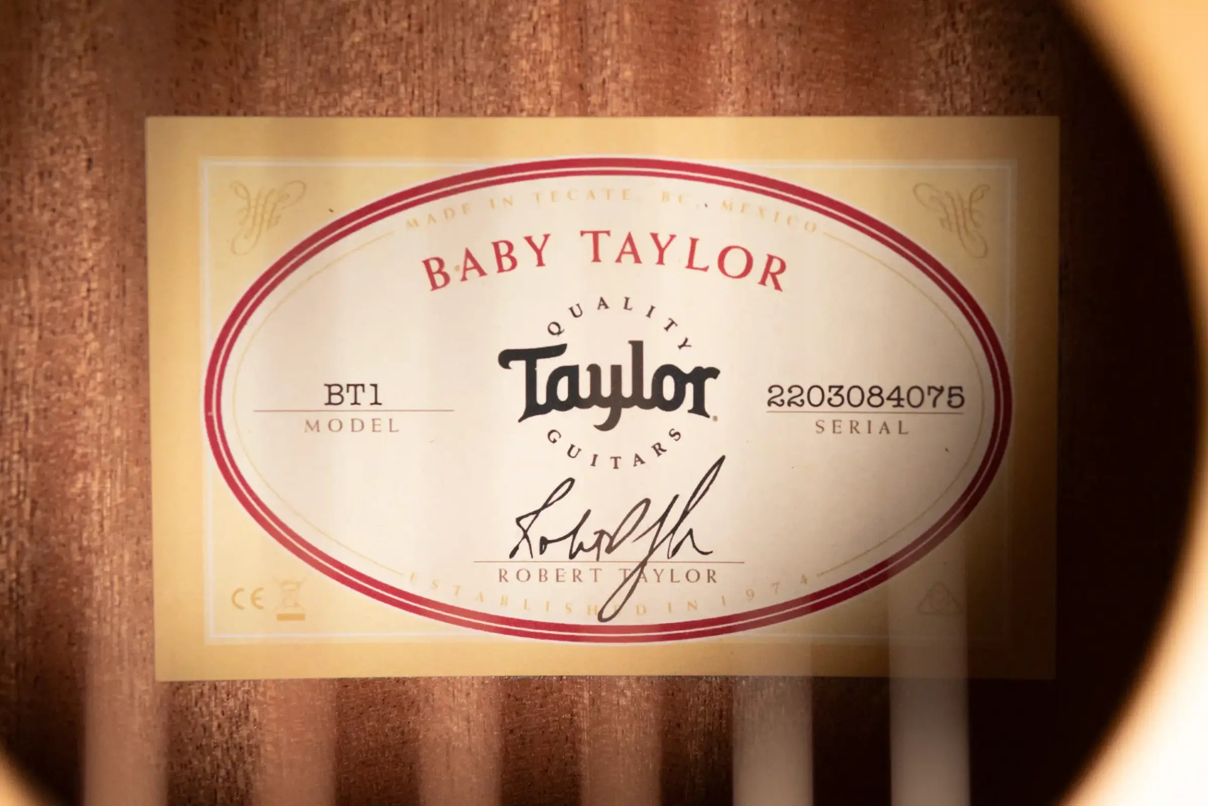 Taylor BT1 Baby Taylor Acoustic Guitar w/ Gig Bag