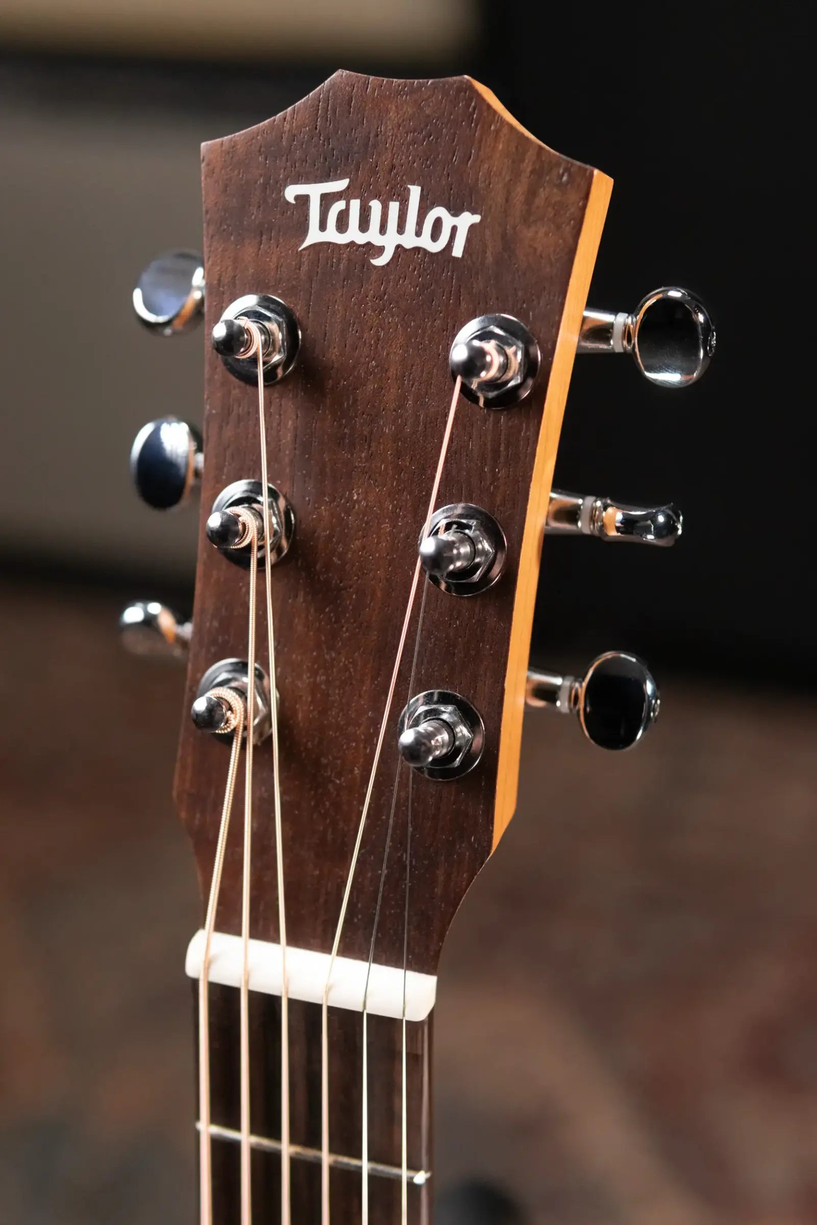 Taylor BT1 Baby Taylor Acoustic Guitar with Gig Bag