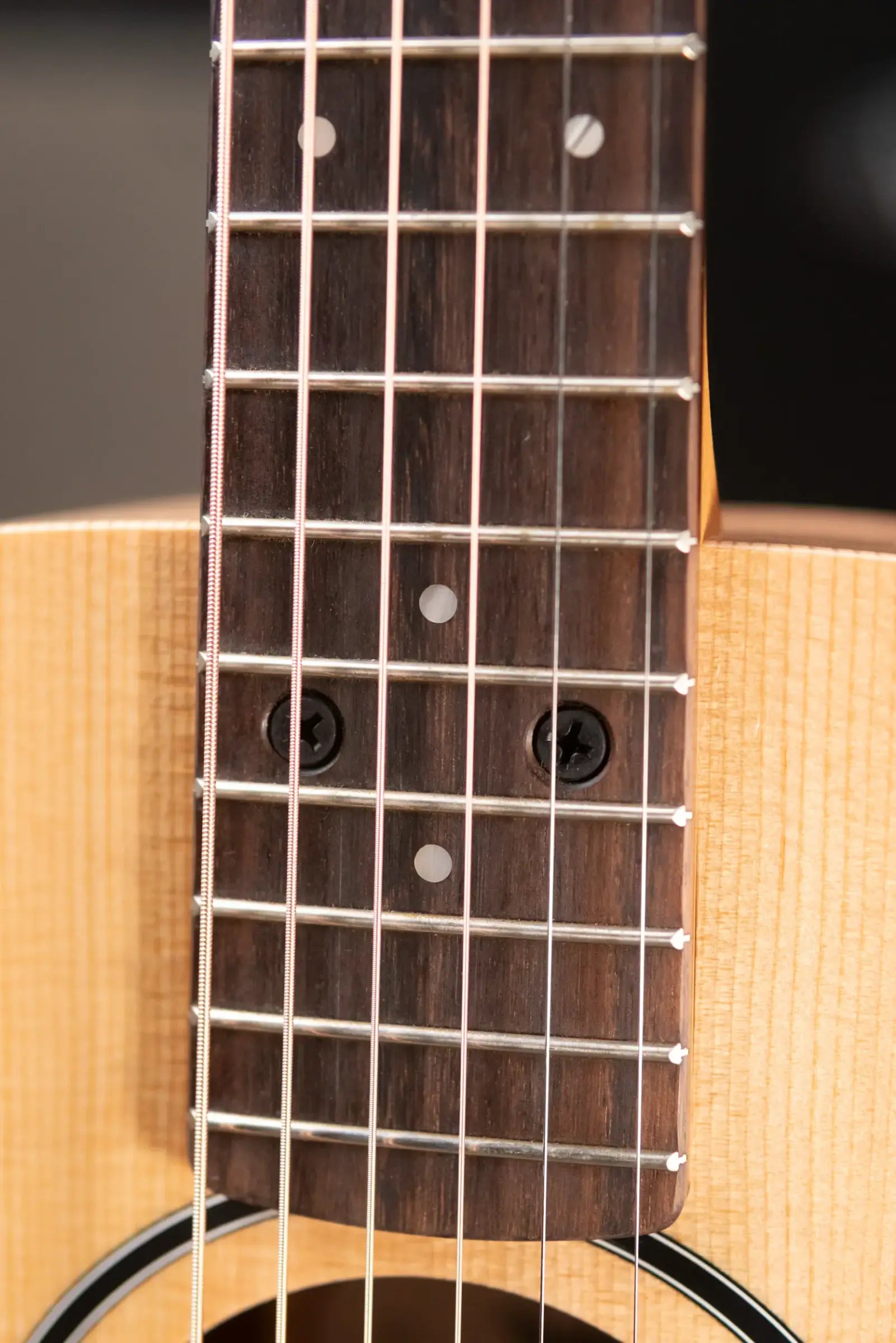 Taylor BT1 Baby Taylor Acoustic Guitar with Gig Bag