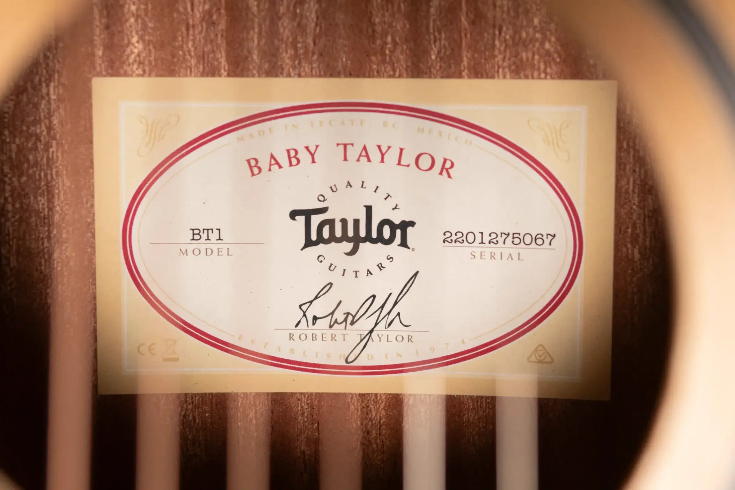 Taylor BT1 Baby Taylor Acoustic Guitar with Gig Bag