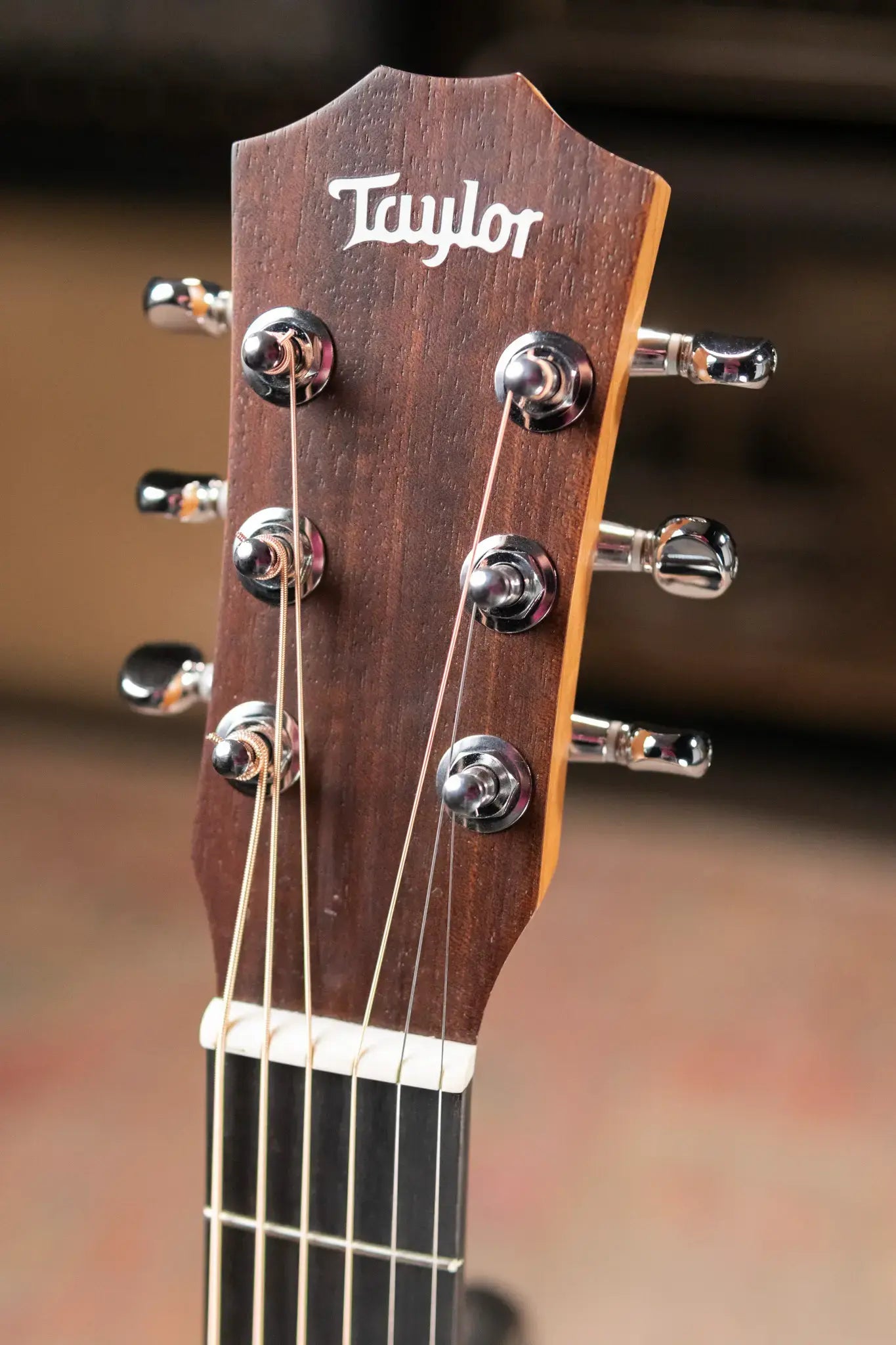 Taylor BT1 Baby Taylor Acoustic Guitar with Gig Bag