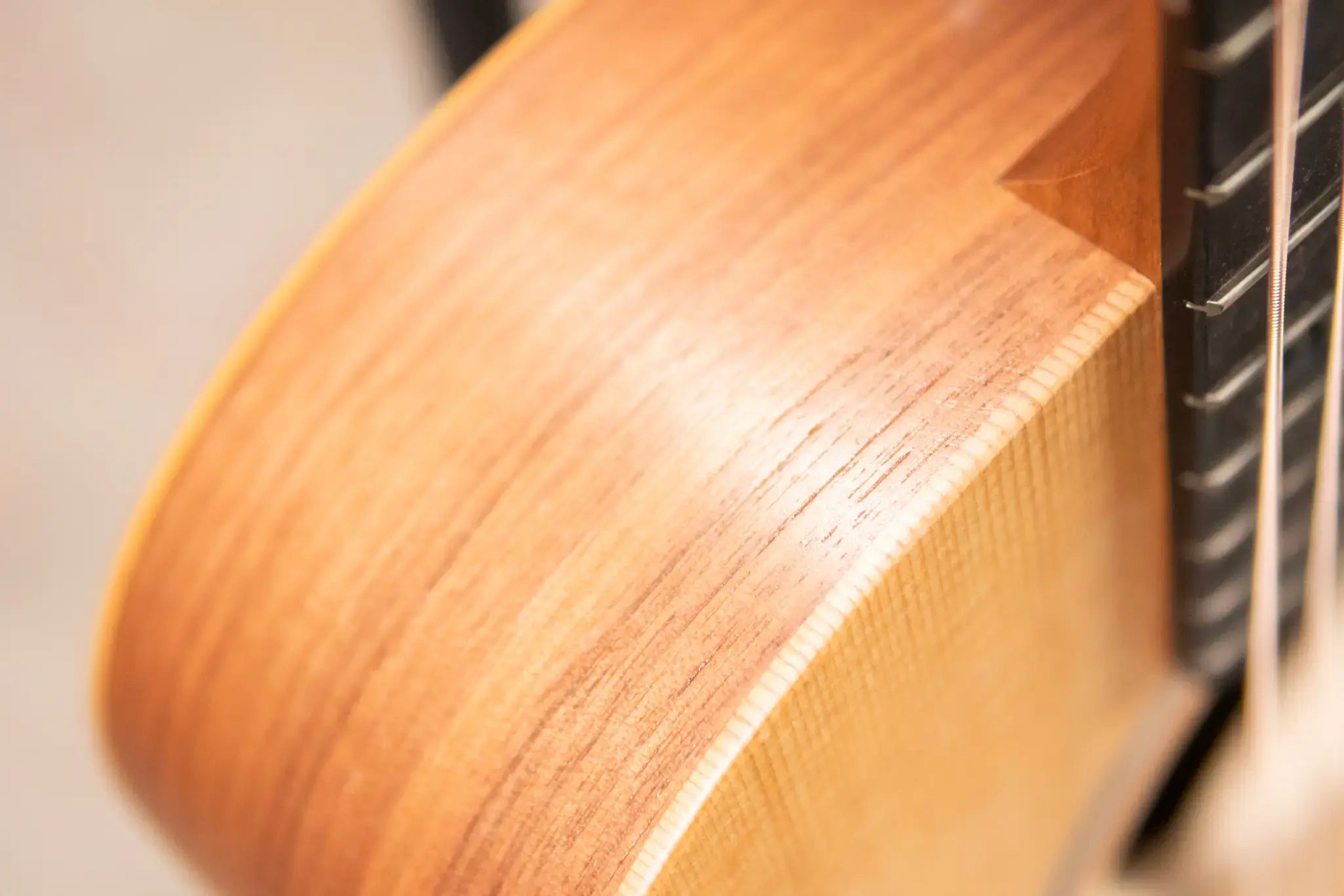 Taylor BT1 Baby Taylor Acoustic Guitar with Gig Bag