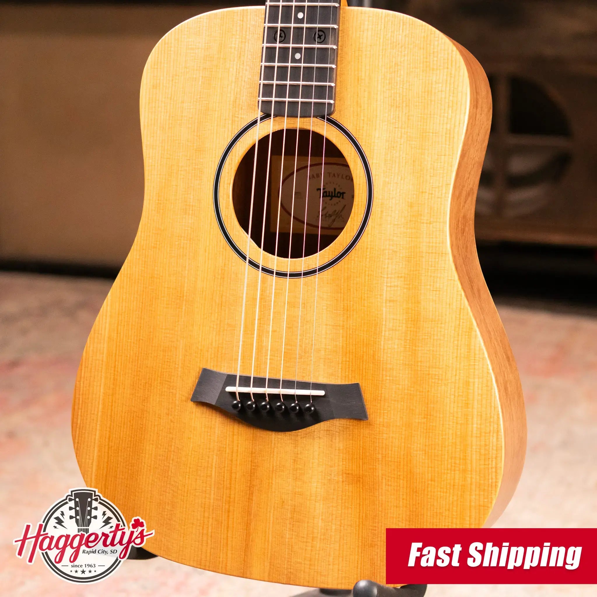 Taylor BT1 Baby Taylor Acoustic Guitar with Gig Bag