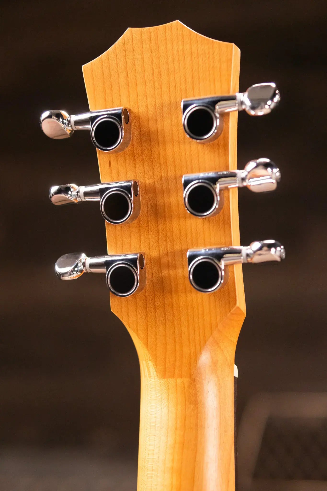 Taylor BT1 Baby Taylor Acoustic Guitar with Gig Bag