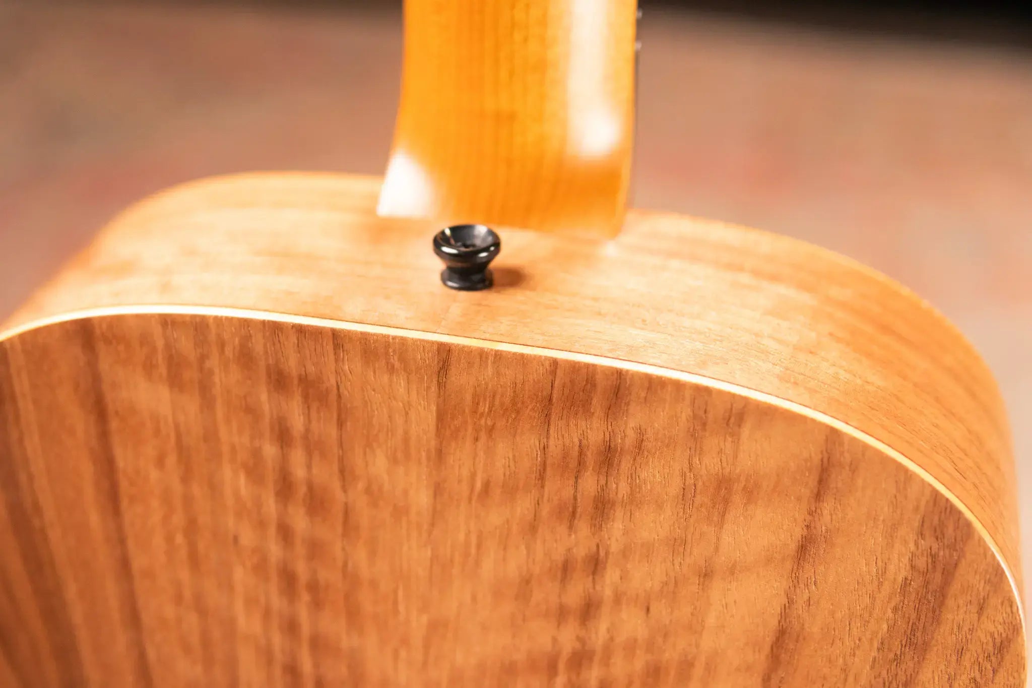 Taylor BT1 Baby Taylor Acoustic Guitar with Gig Bag