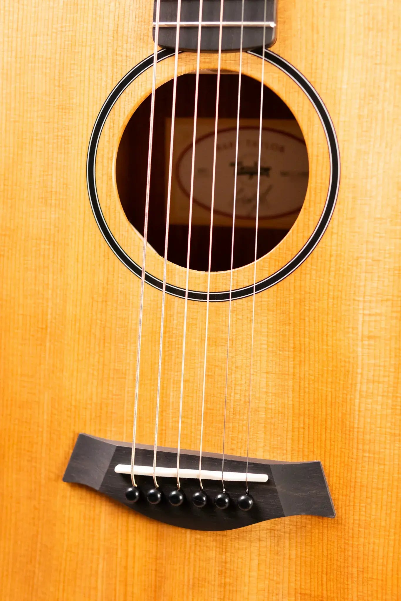 Taylor BT1 Baby Taylor Acoustic Guitar with Gig Bag