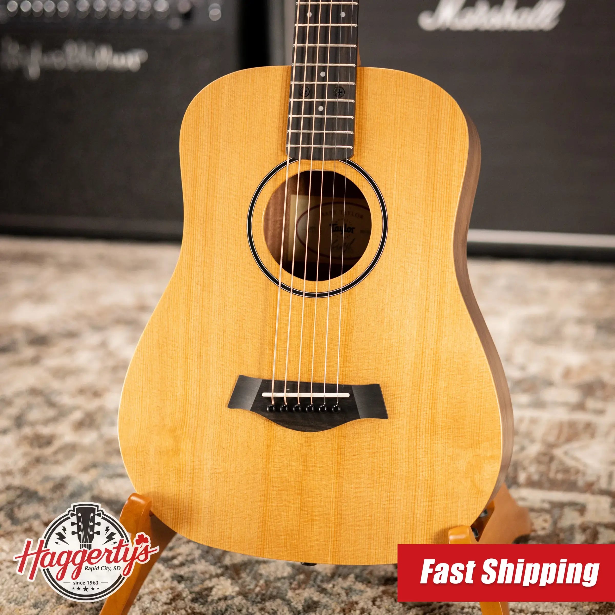 Taylor BT1 Baby Taylor Acoustic Guitar with Gig Bag