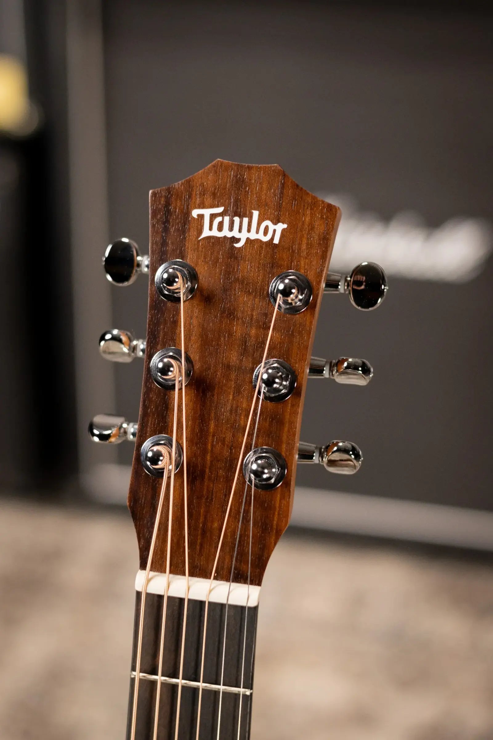 Taylor BT1 Baby Taylor Acoustic Guitar with Gig Bag