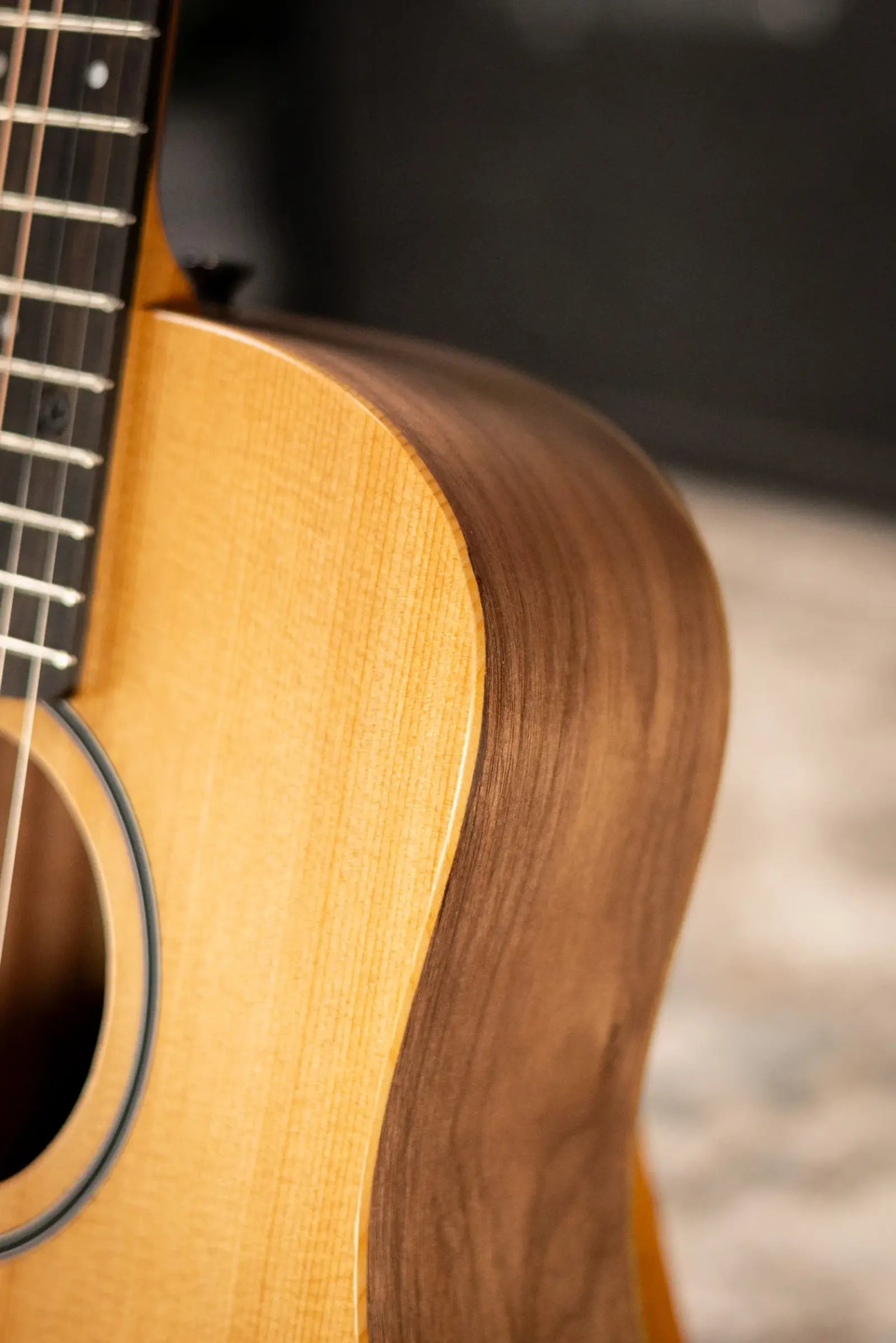 Taylor BT1 Baby Taylor Acoustic Guitar with Gig Bag