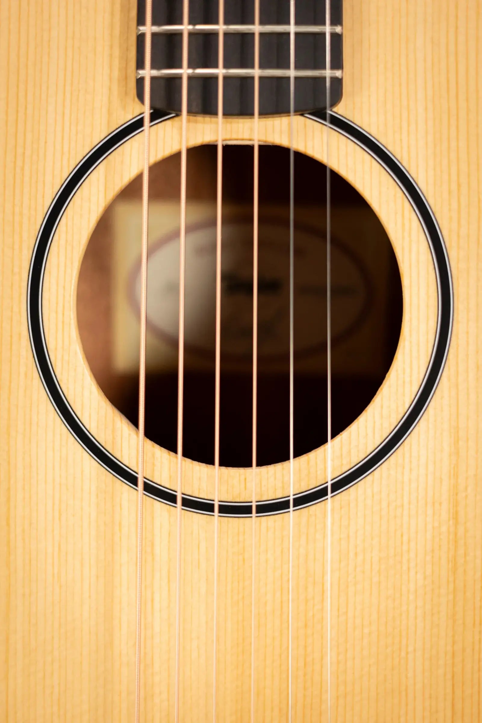 Taylor BT1 Baby Taylor Acoustic Guitar with Gig Bag