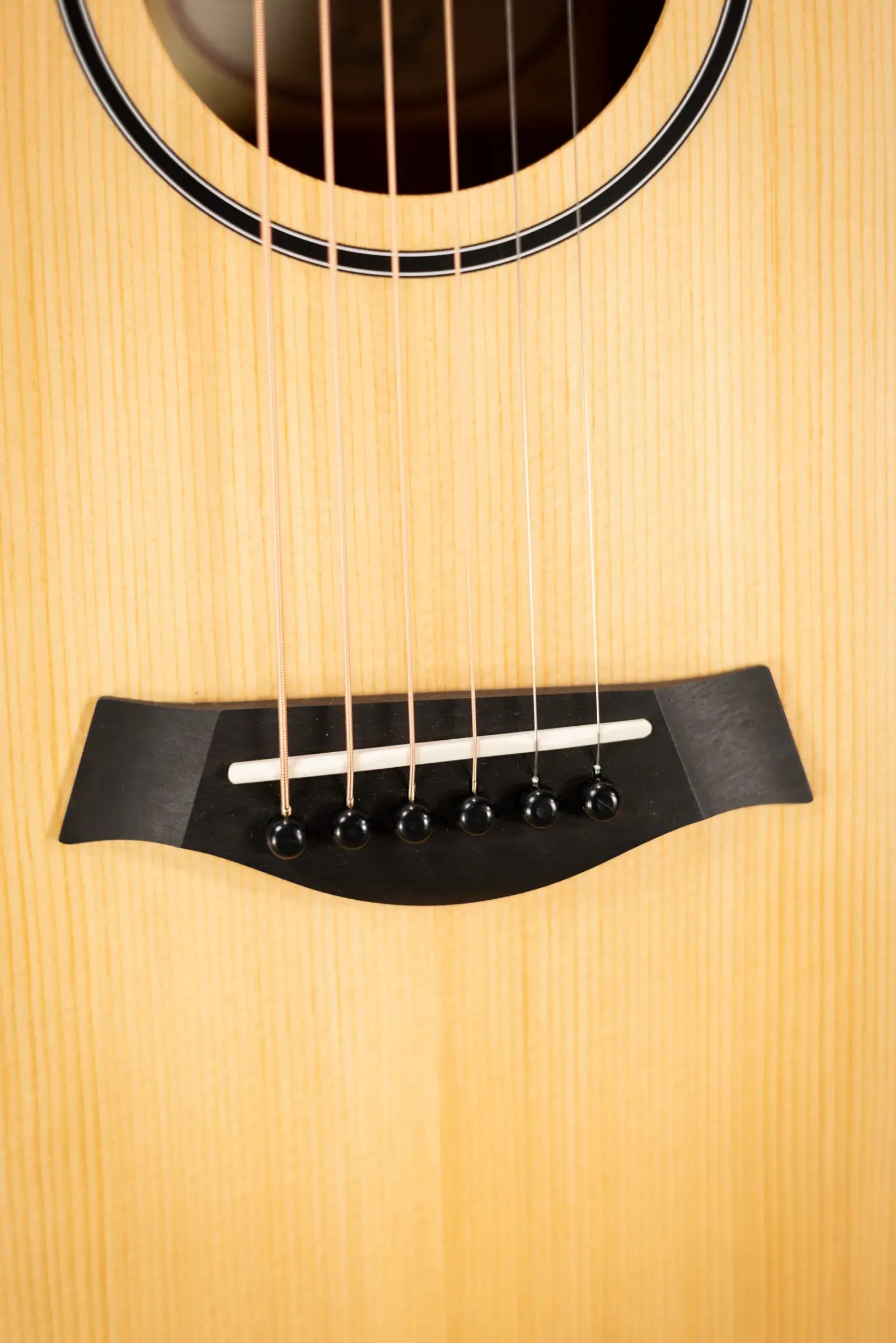 Taylor BT1 Baby Taylor Acoustic Guitar with Gig Bag