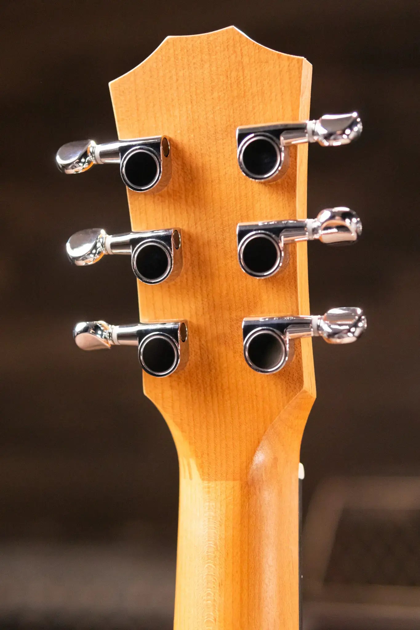 Taylor BT1 Baby Taylor Acoustic Guitar with Gig Bag