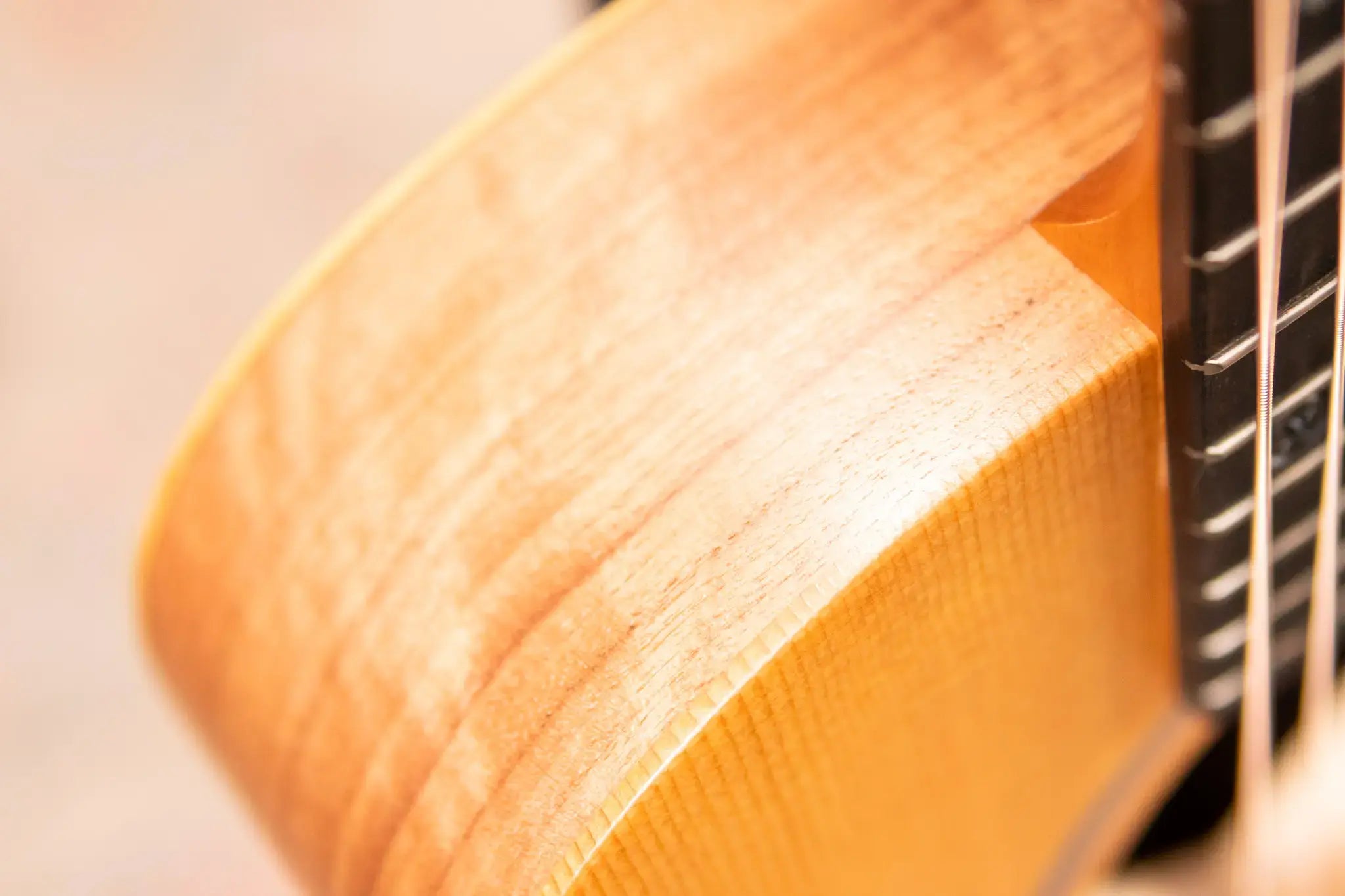 Taylor BT1 Baby Taylor Acoustic Guitar with Gig Bag