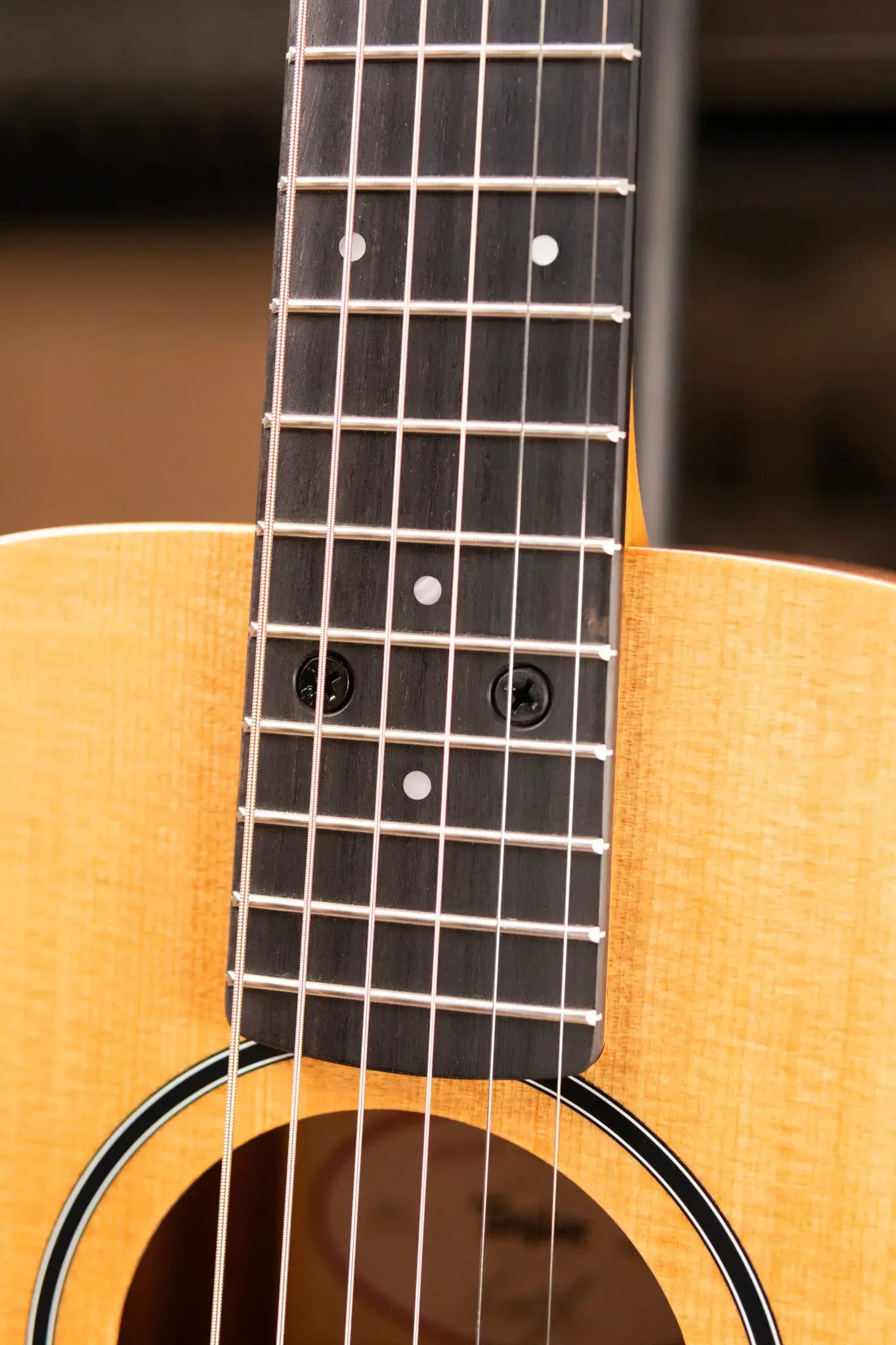 Taylor BT1 Baby Taylor Acoustic Guitar with Gig Bag