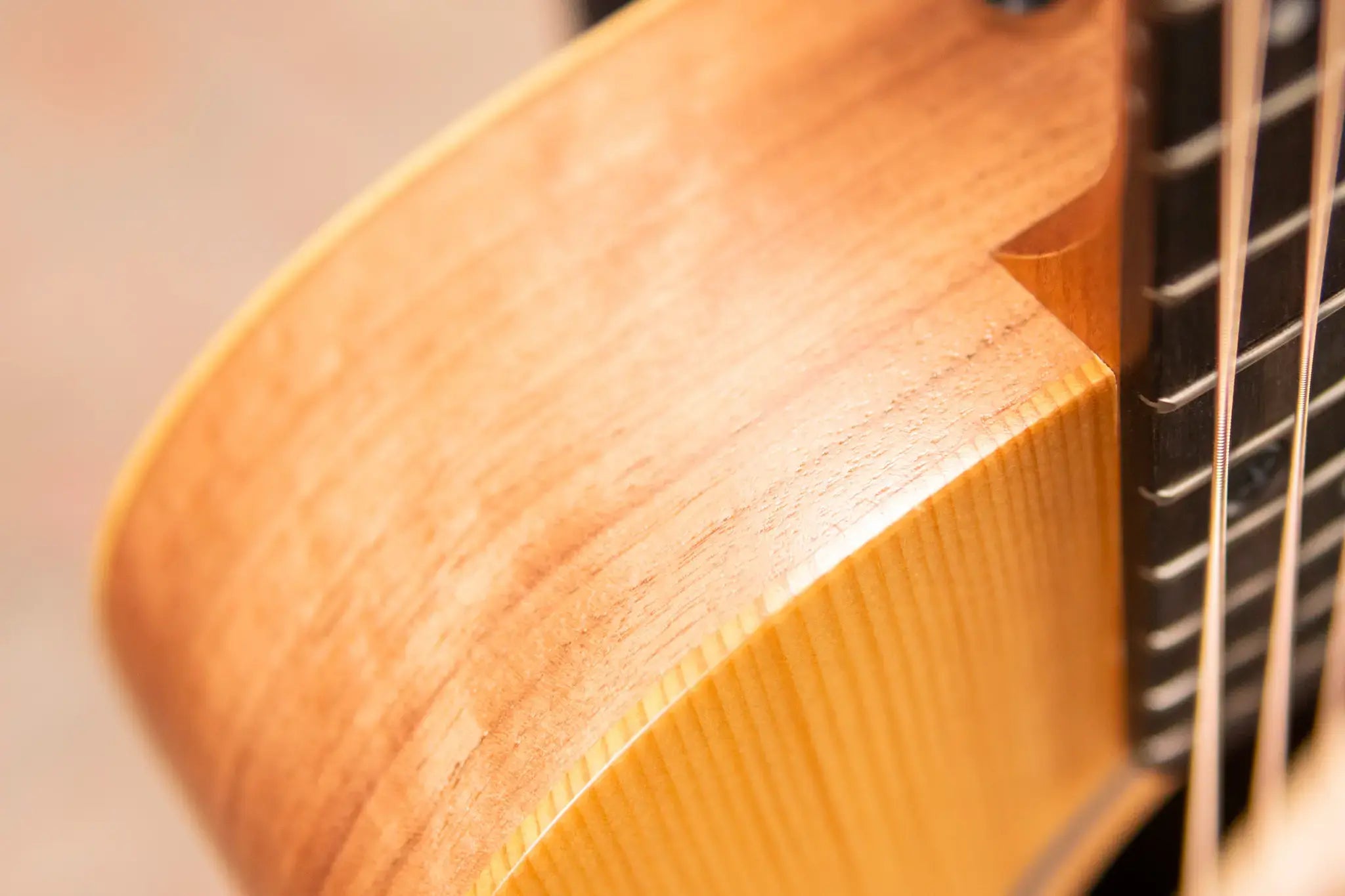 Taylor BT1 Baby Taylor Acoustic Guitar with Gig Bag