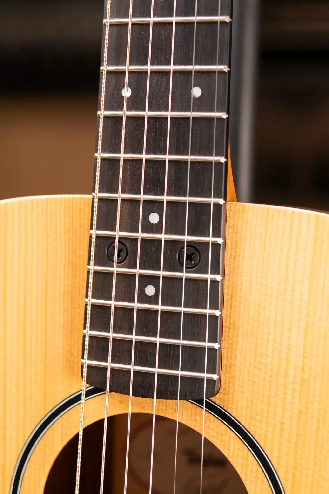 Taylor BT1 Baby Taylor Acoustic Guitar with Gig Bag