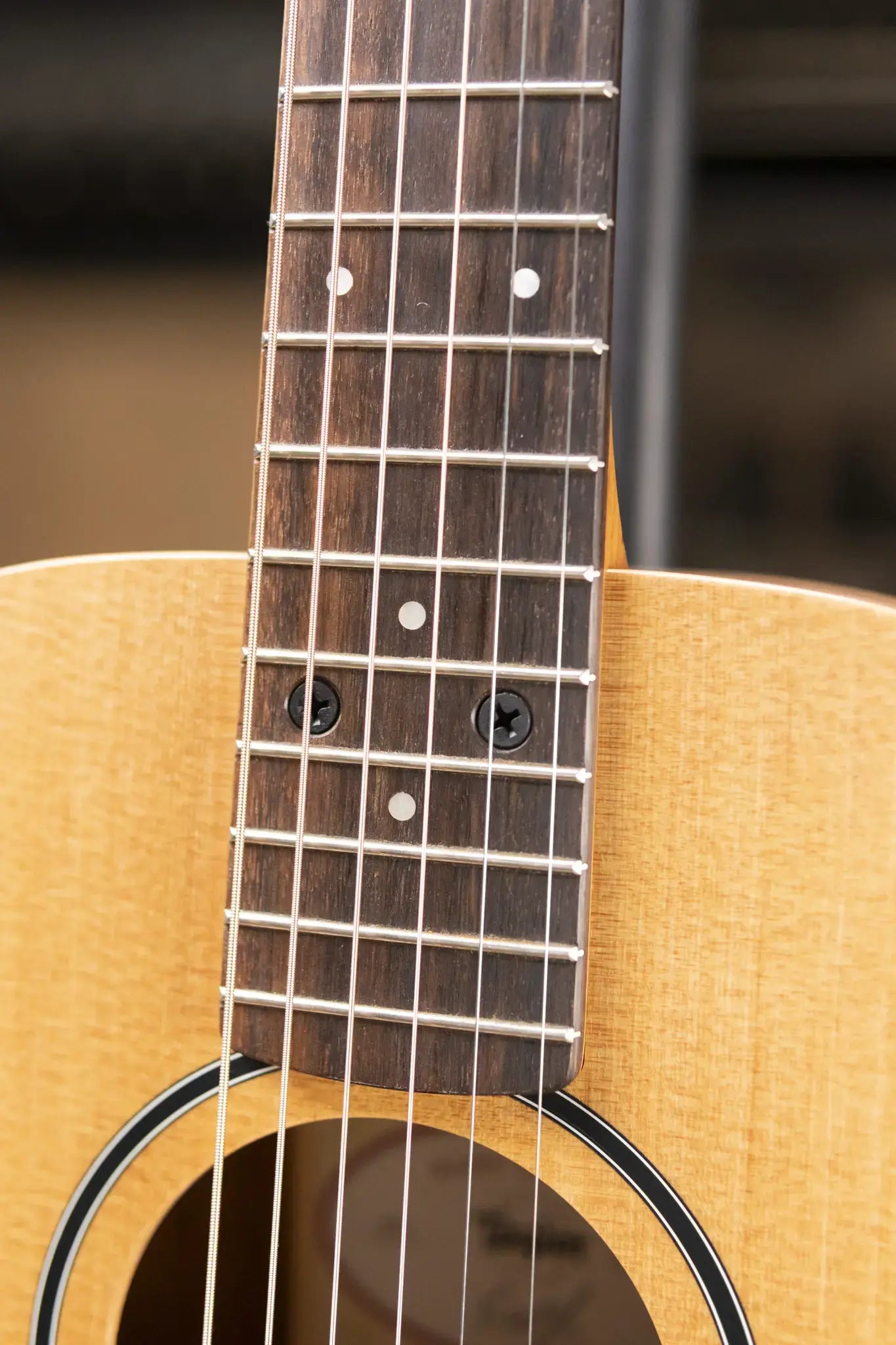 Taylor BT1 Baby Taylor Acoustic Guitar with Gig Bag