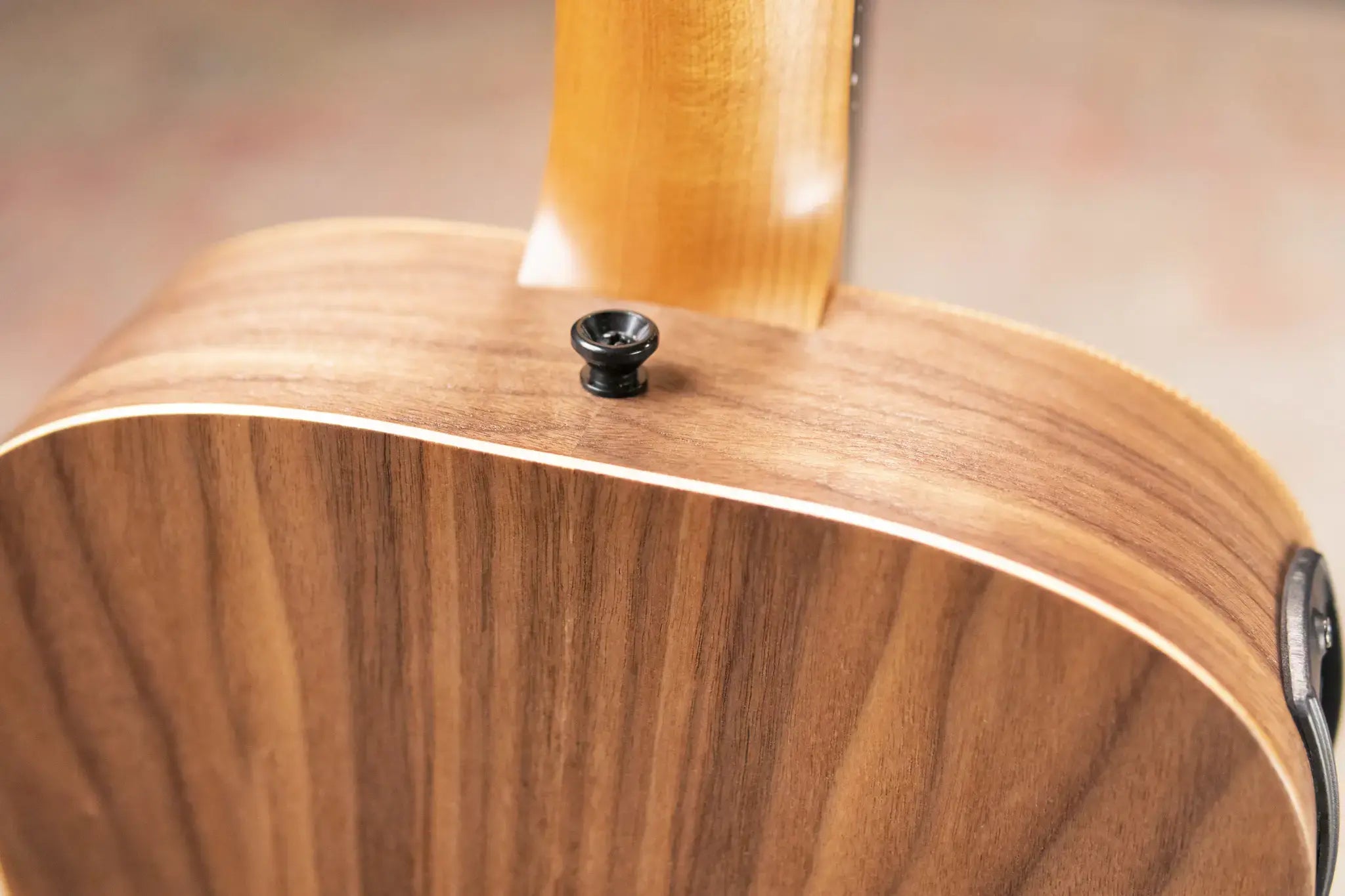 Taylor BT1e Baby Taylor Acoustic/Electric Guitar with Gig Bag