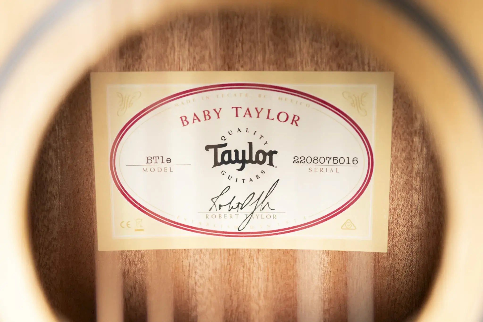 Taylor BT1e Baby Taylor Acoustic/Electric Guitar with Gig Bag